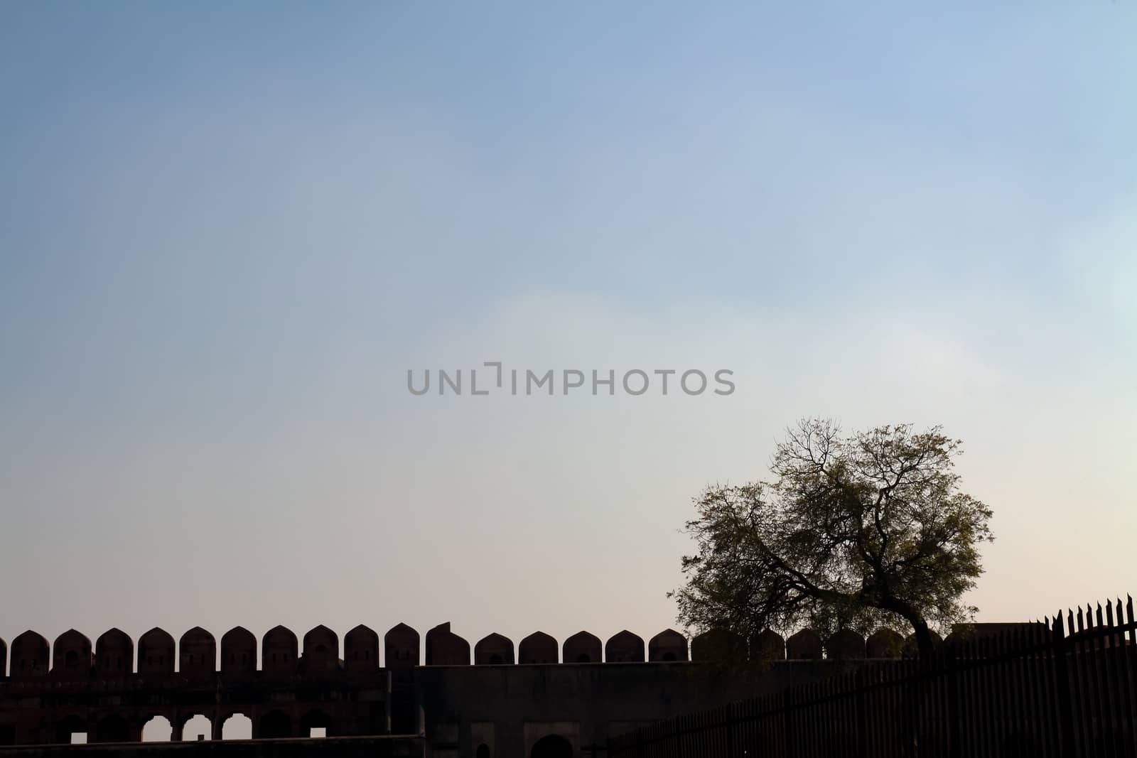 A Picture of a Single Tree on the Fort Wall against a  Large Expanse of Blue sky