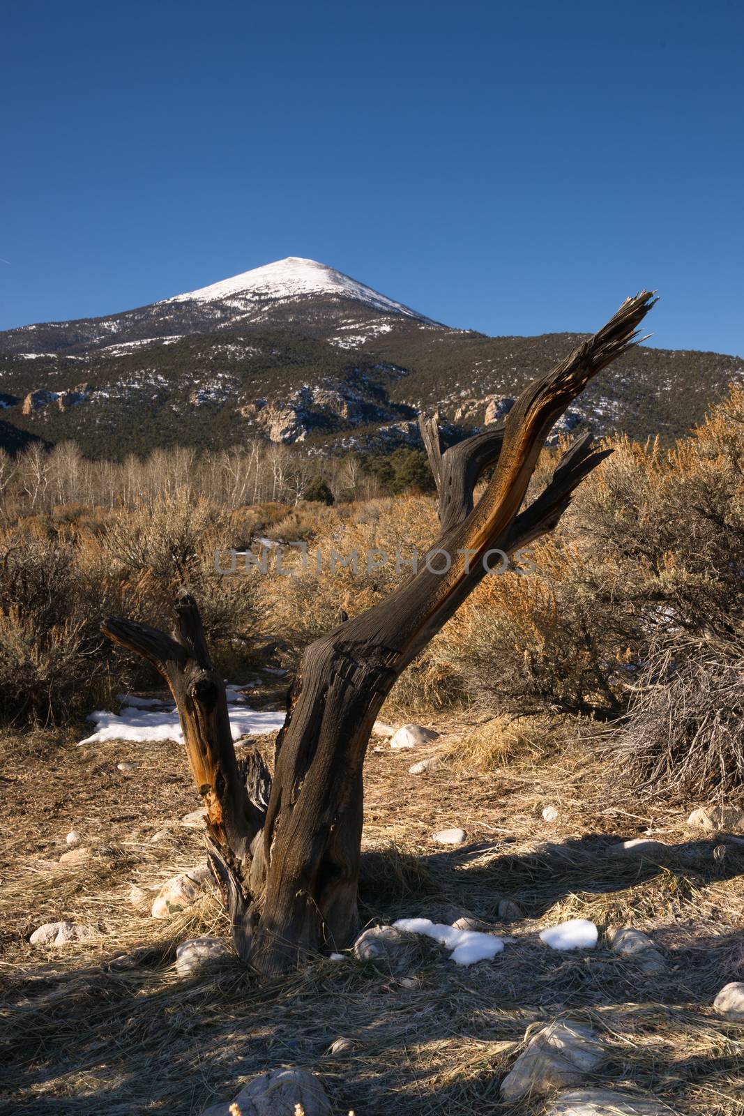 High Mountain Peak Great Basin Region Nevada Landscape by ChrisBoswell