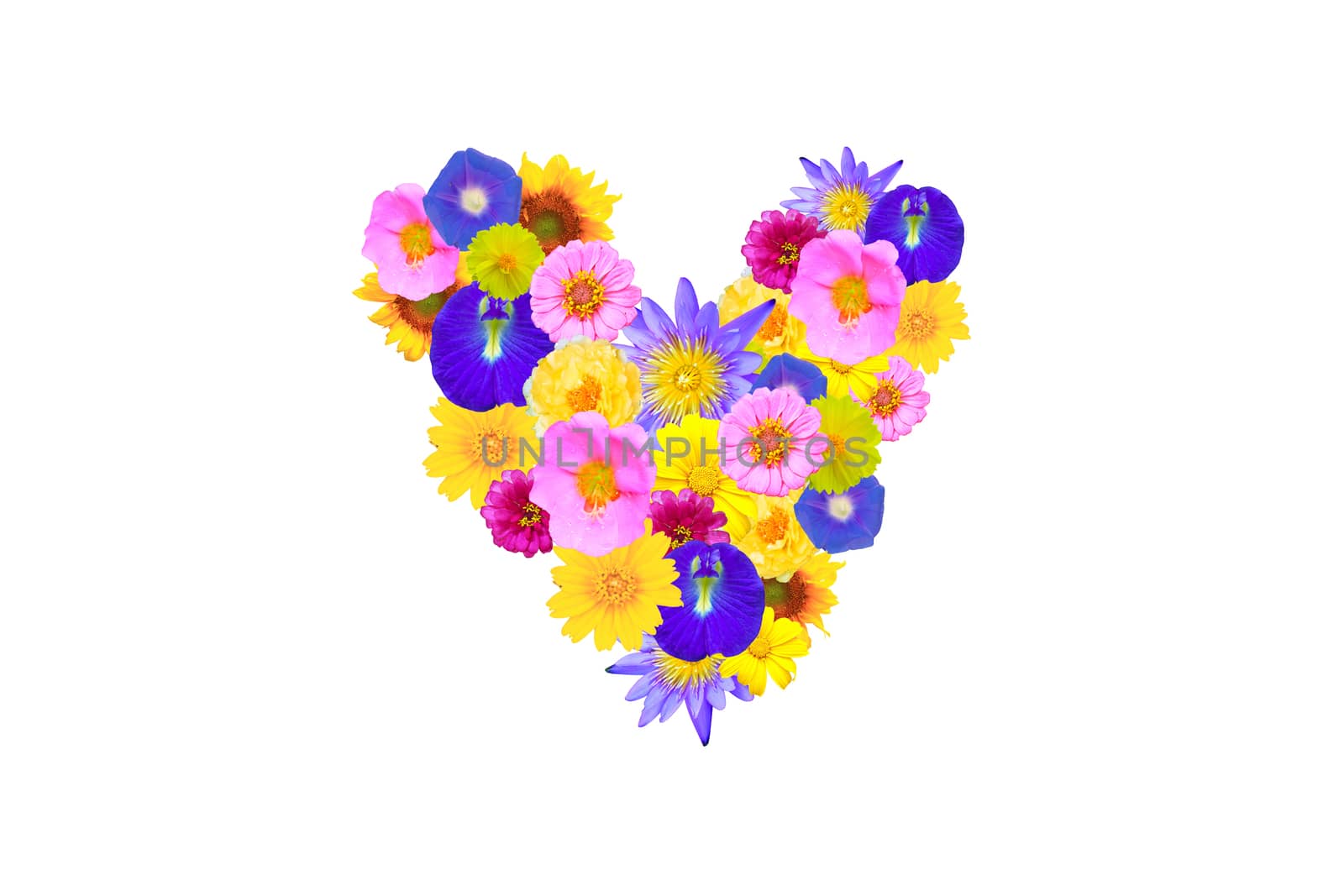 garden flowers shaped heart concept isolated on white background