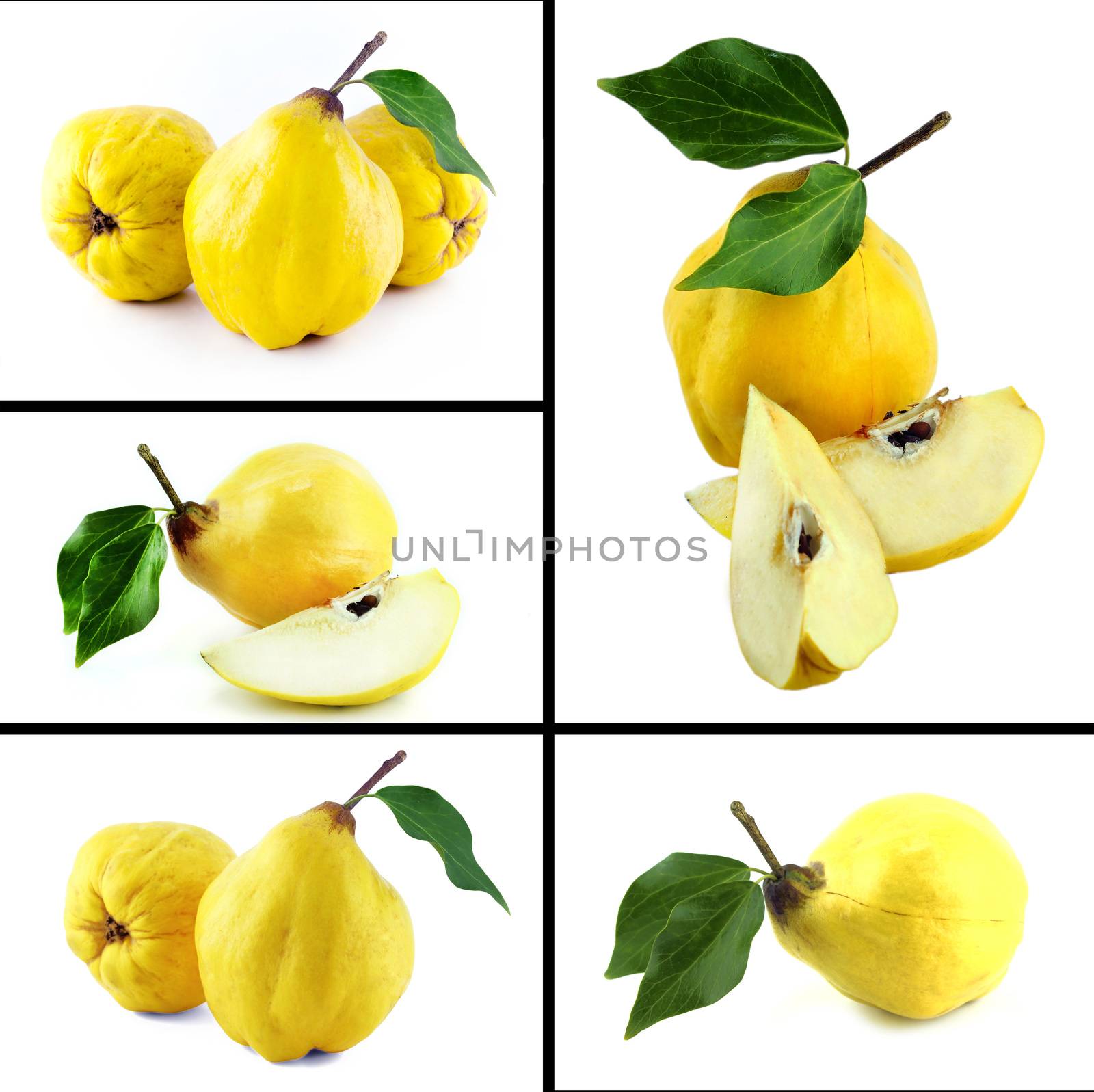 Healthy and organic food, Set of fresh sweet quinces .