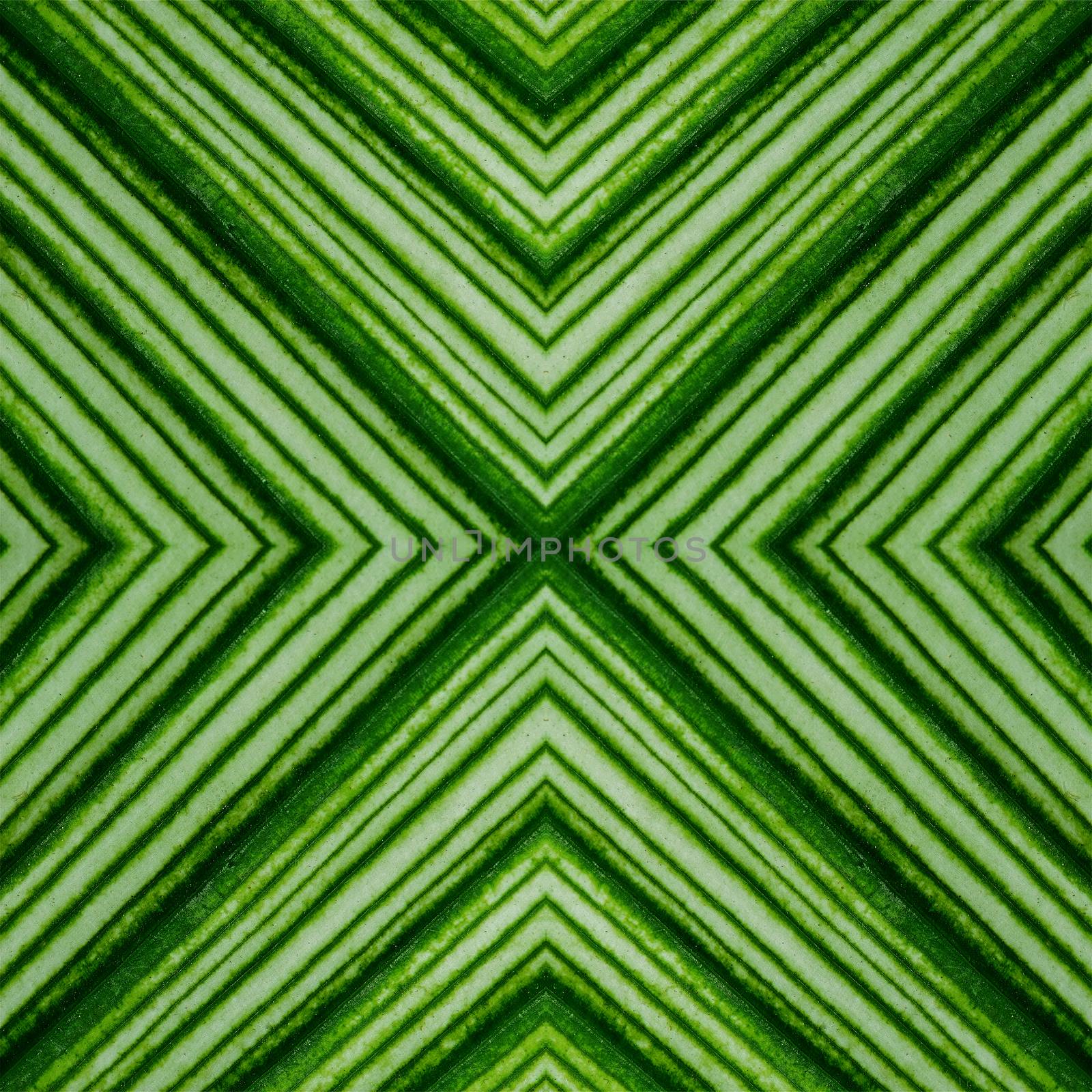 Beautiful pattern of green leaf abstract background texture