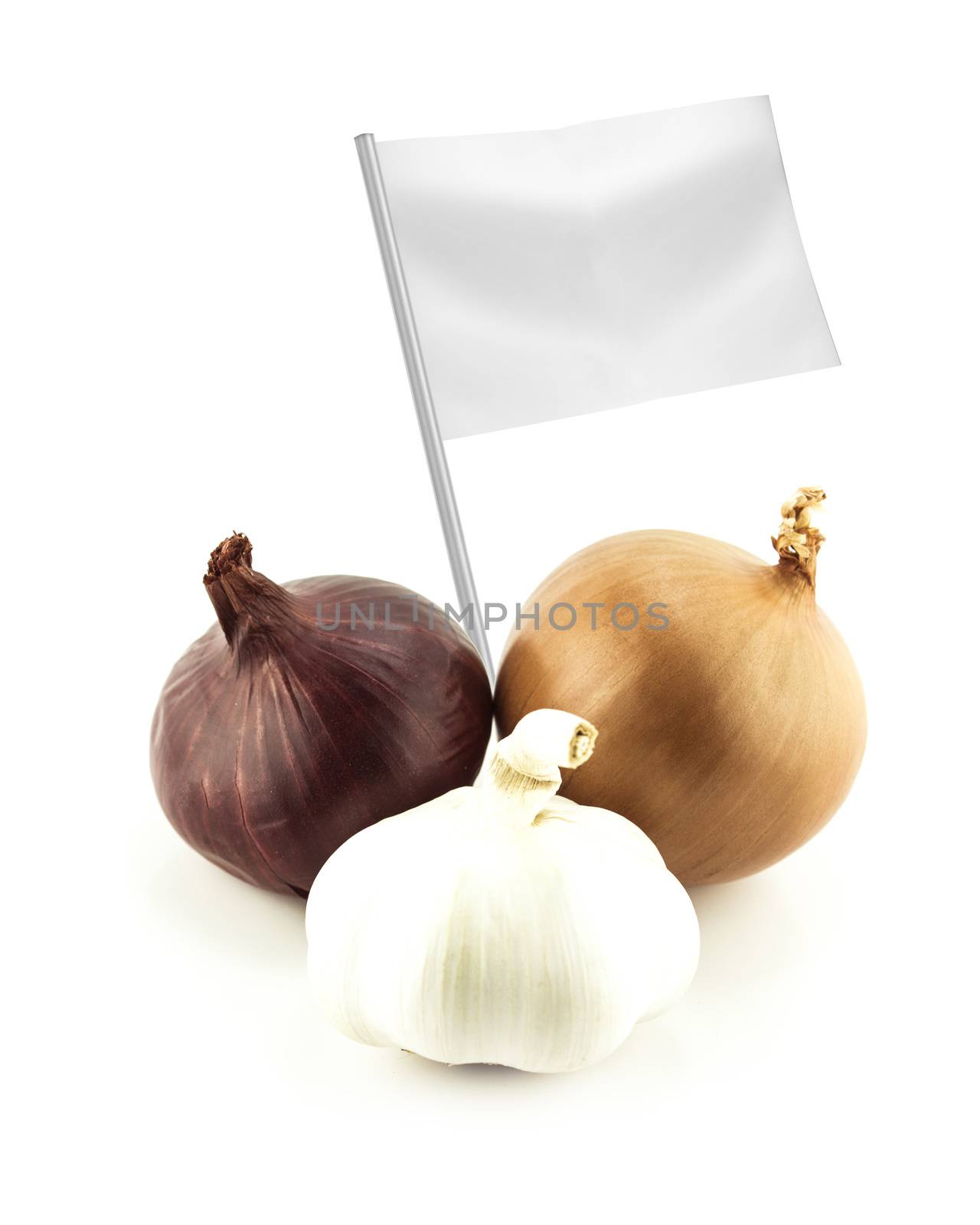 Healthy and organic food concept. Fresh onions and garlic with flag showing the benefits or the price of fruits.