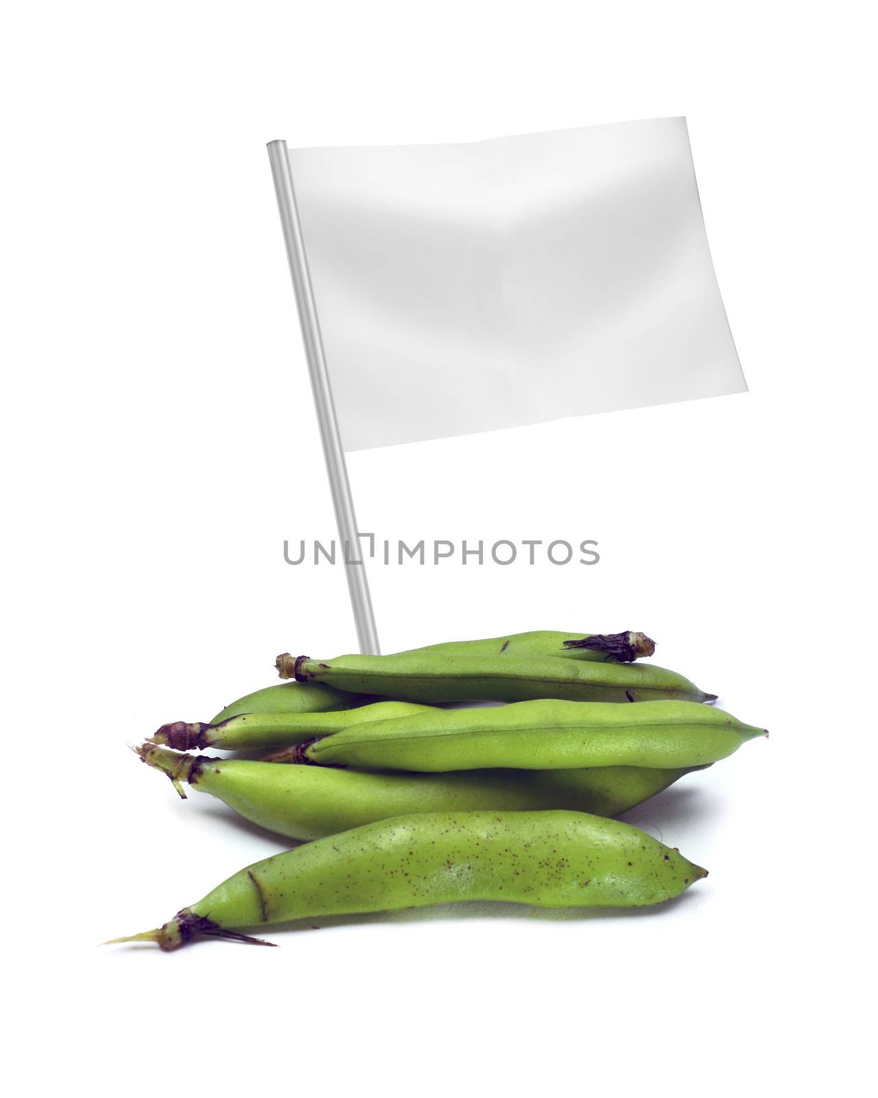 Healthy and organic food concept. Fresh broad bean pods with flag showing the benefits or the price of fruits.