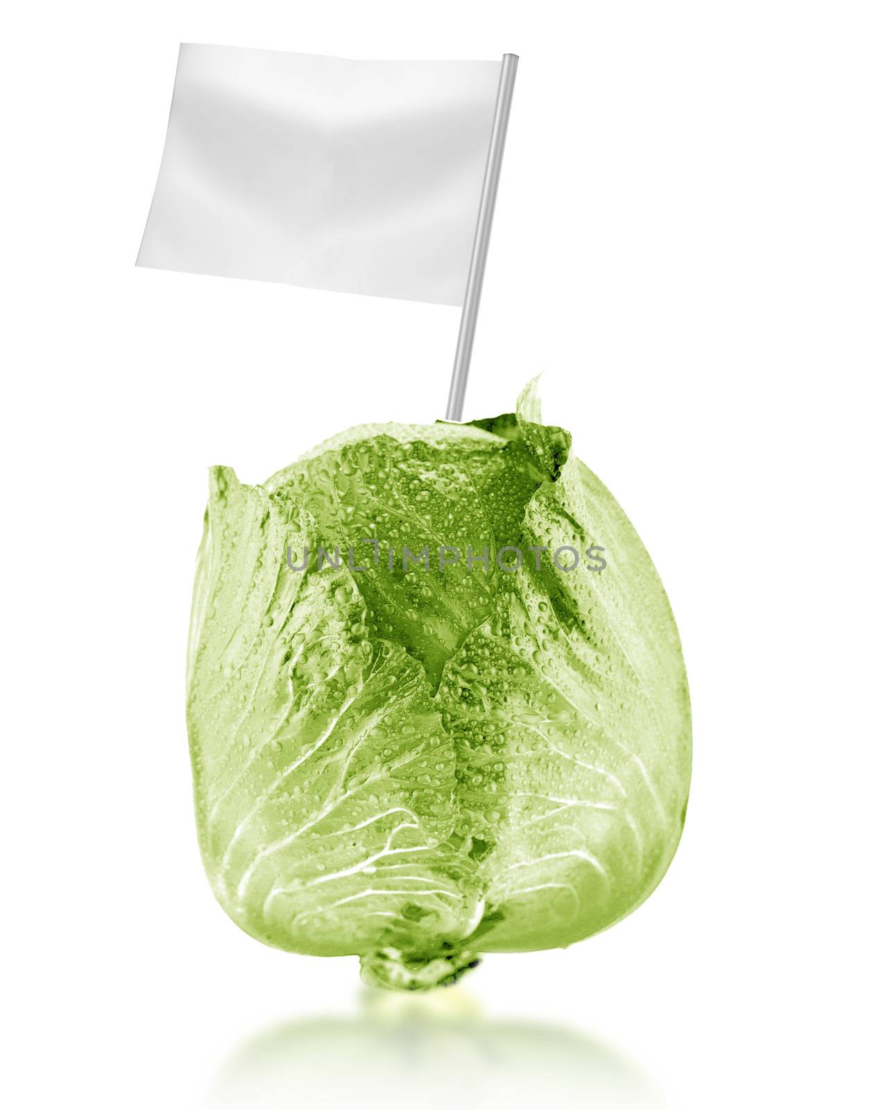 Healthy and organic food concept. Fresh green cabbage with flag showing the benefits or the price of fruits.