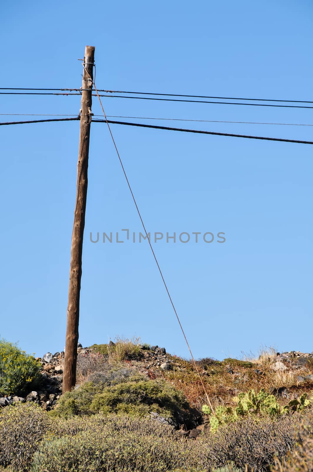 Old retro telephone poles in the field