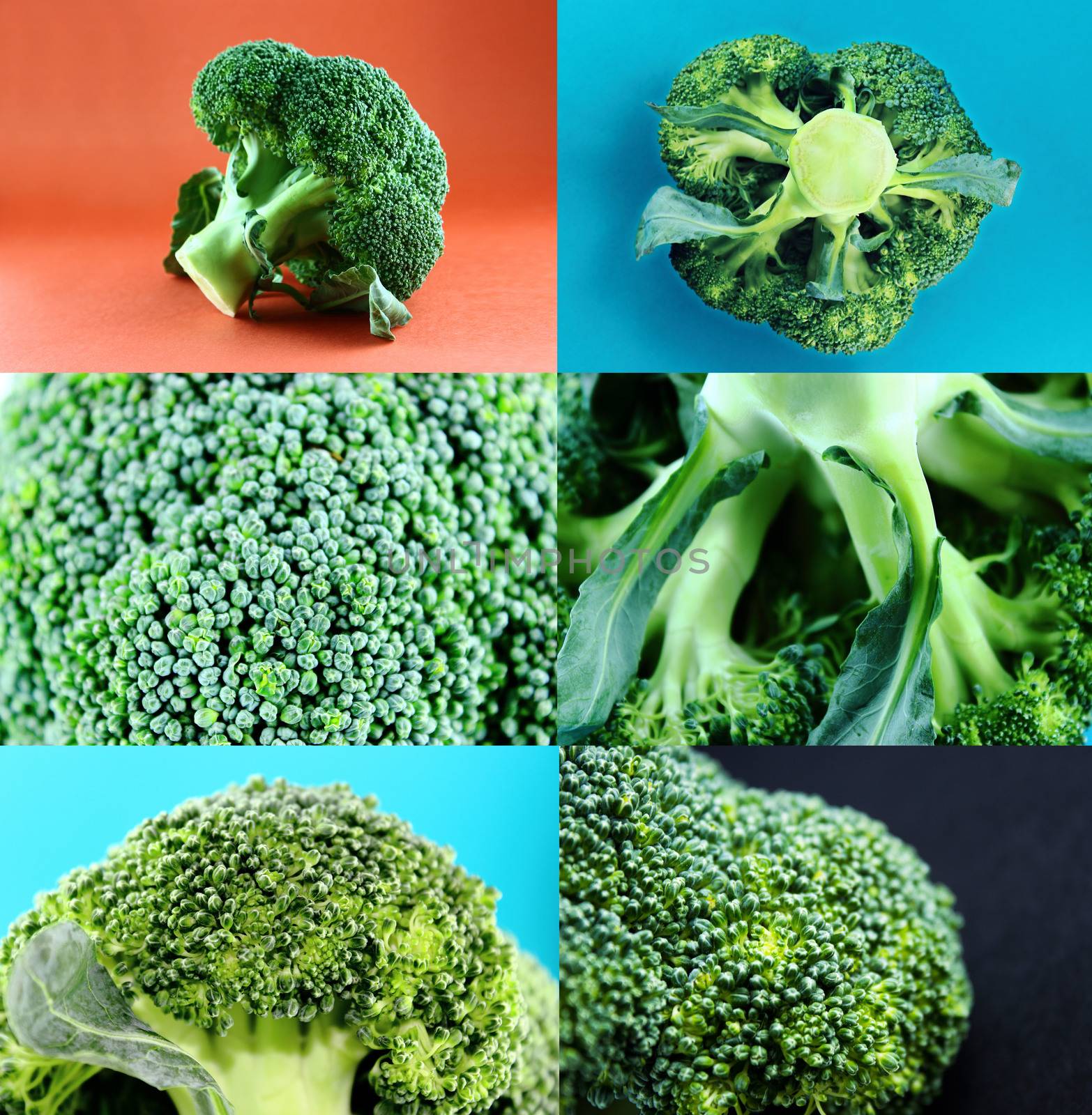 Healthy and organic food, Set of fresh broccoli .