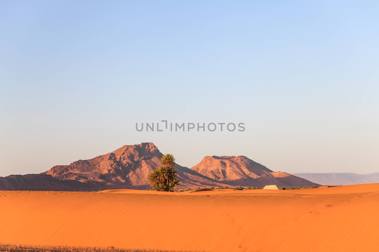 Sahara desert in the morning light, morocco