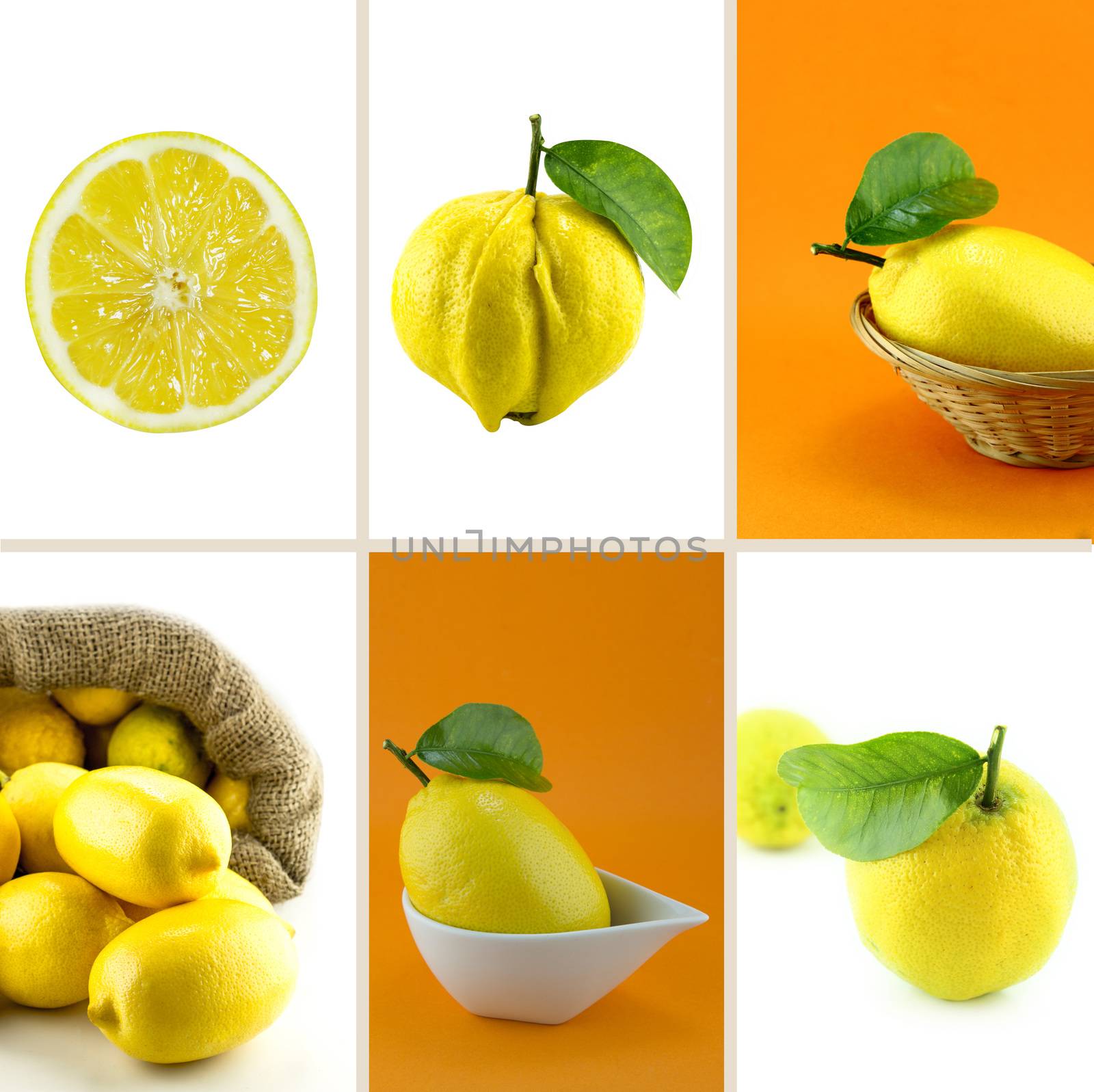 Healthy and organic food, Set of fresh Lemon.