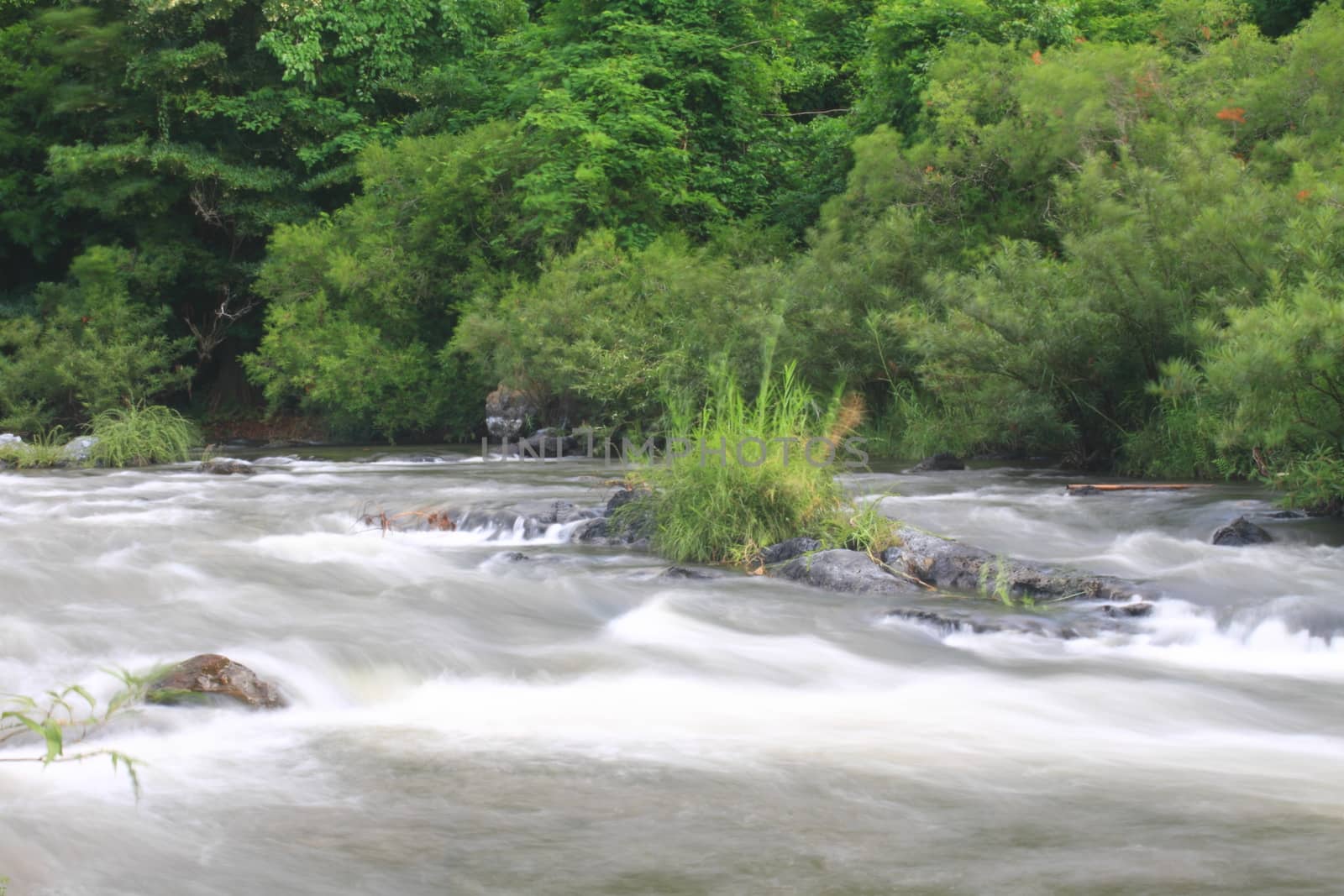 River in deep forest, river in evergreen forest in Thailand 