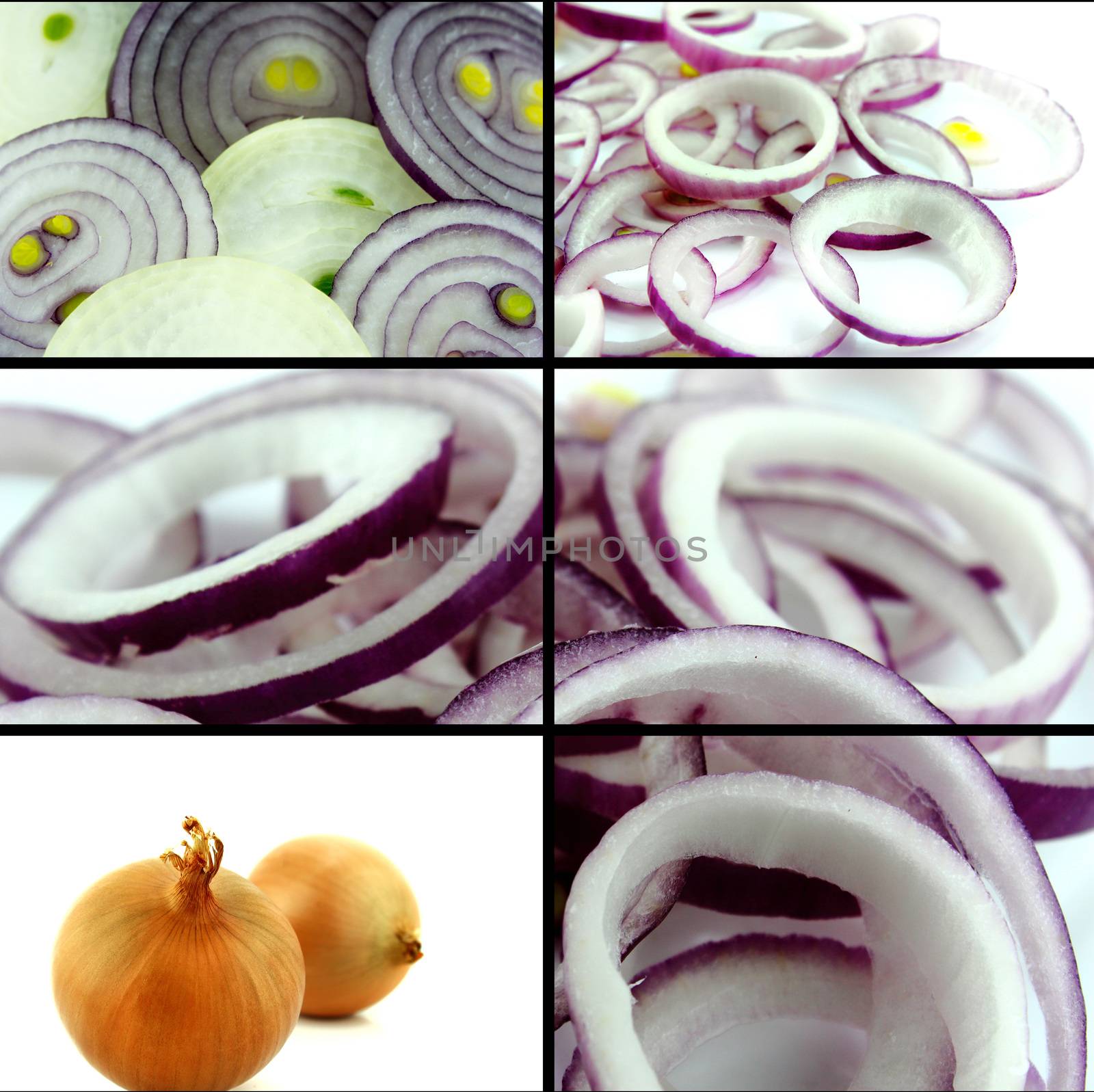 Healthy and organic food, Set of fresh sliced onion.