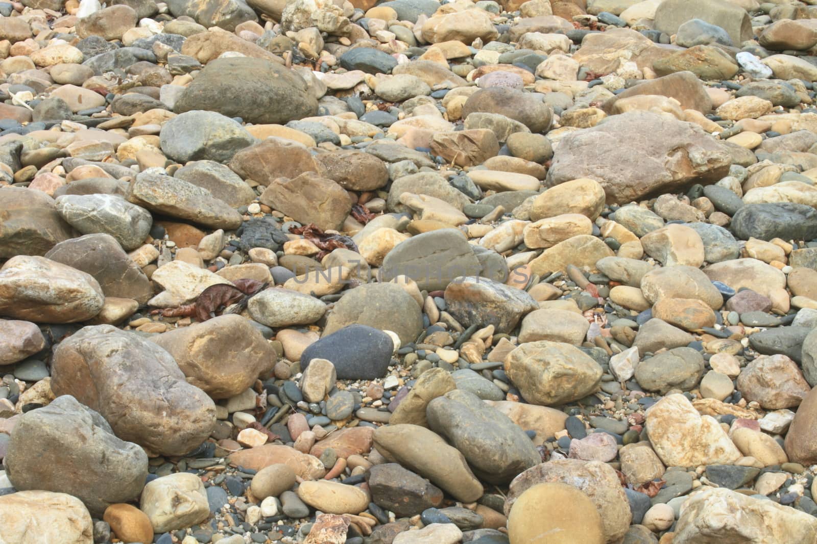 river stones submerged in shallow water background