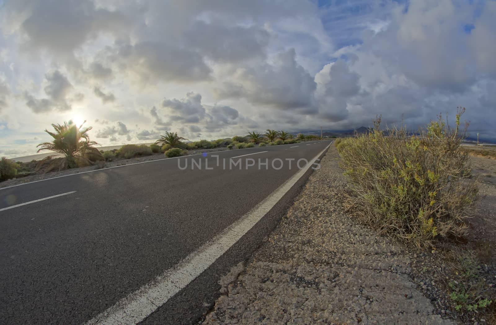 Long Empty Desert Road by underworld