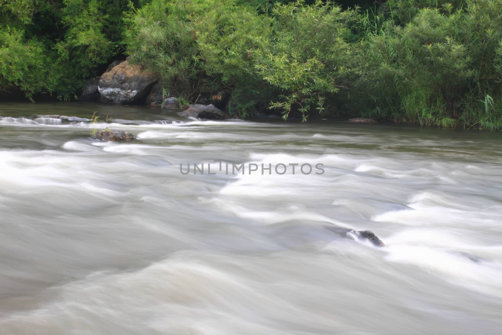River in deep forest, river in evergreen forest in Thailand 