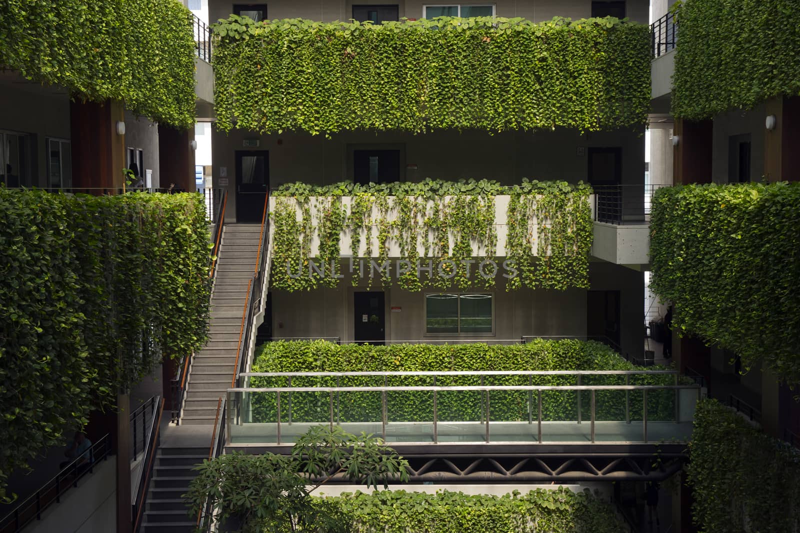 detail of modern building with plant on terrace by think4photop