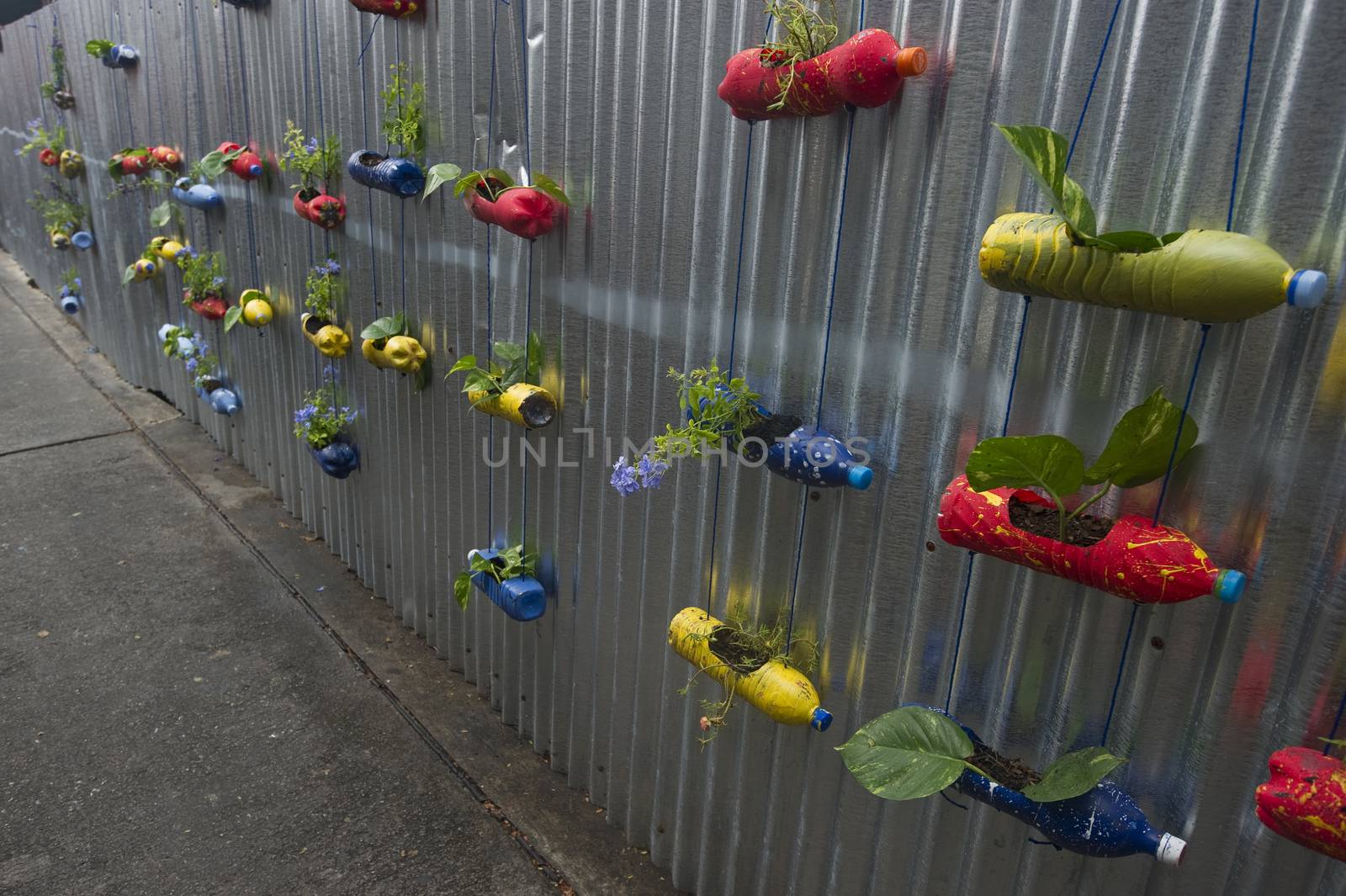 Hanging plant in recycle bottle on zinc wall. by think4photop