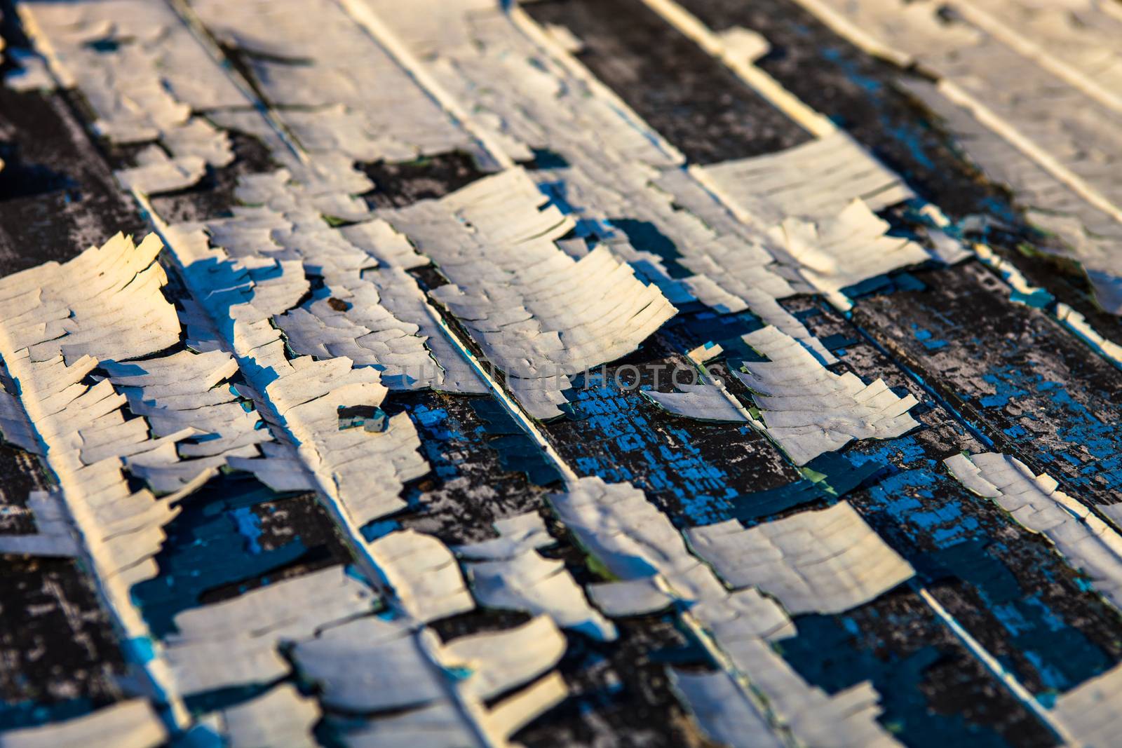 Old wooden planks with the remains of cracked white and blue oil-paint