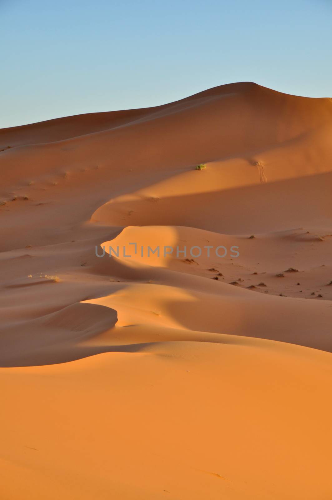 Merzouga desert in Morocco by anderm
