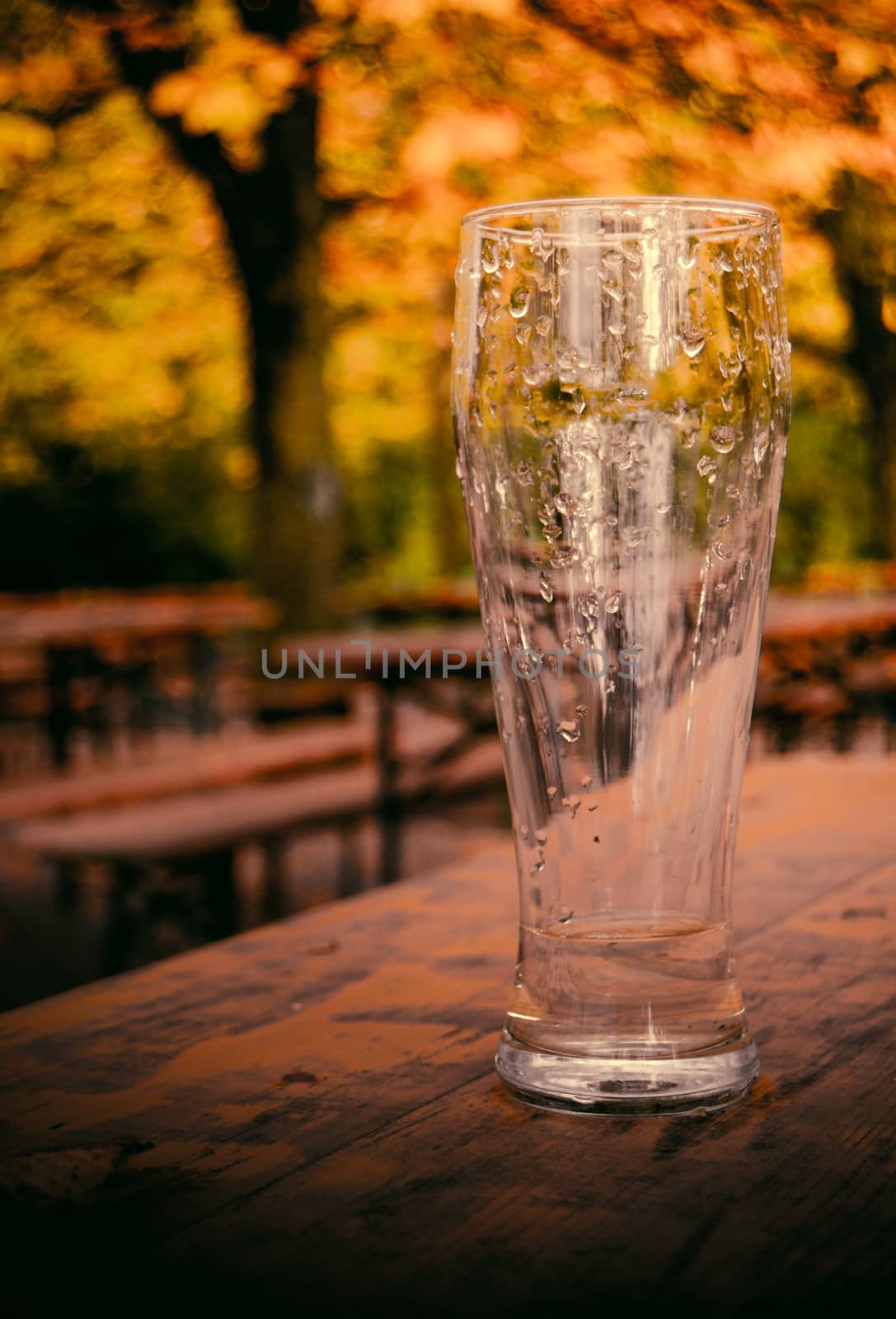 Retro Style Photo Of An Empty Beer Glass On A Beer Garden In Autumn