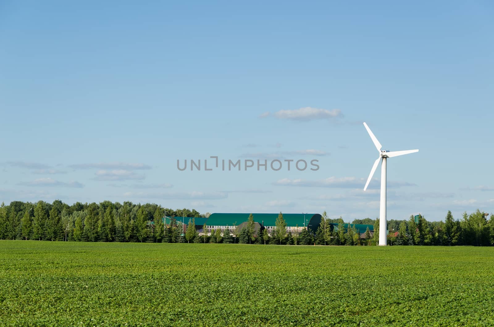 Windmill renewable electricity energy generation by sauletas