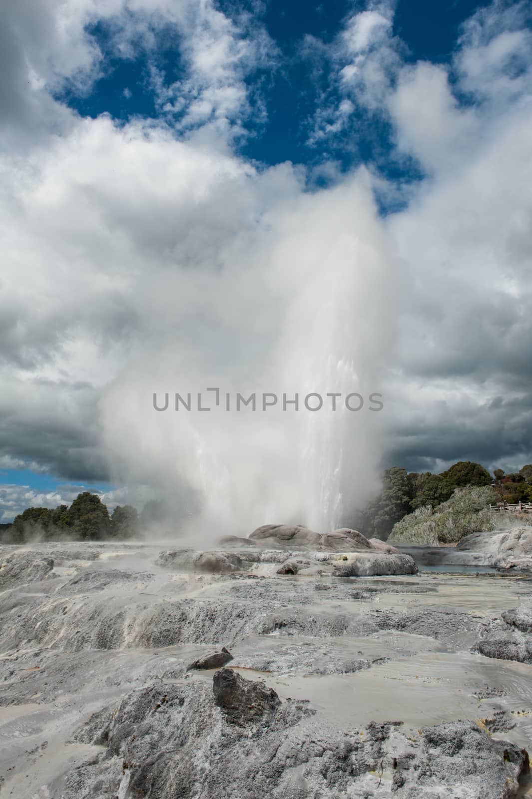 Pohutu and Prince of Wales geysers in Rotorua area, New Zealand