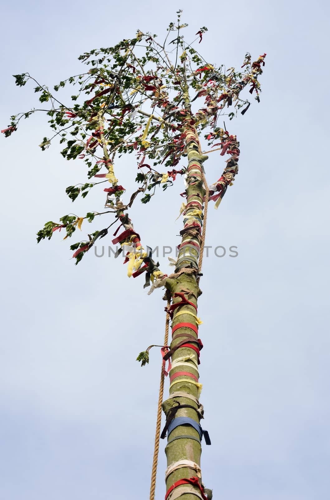 looking up to top of may pole by pauws99