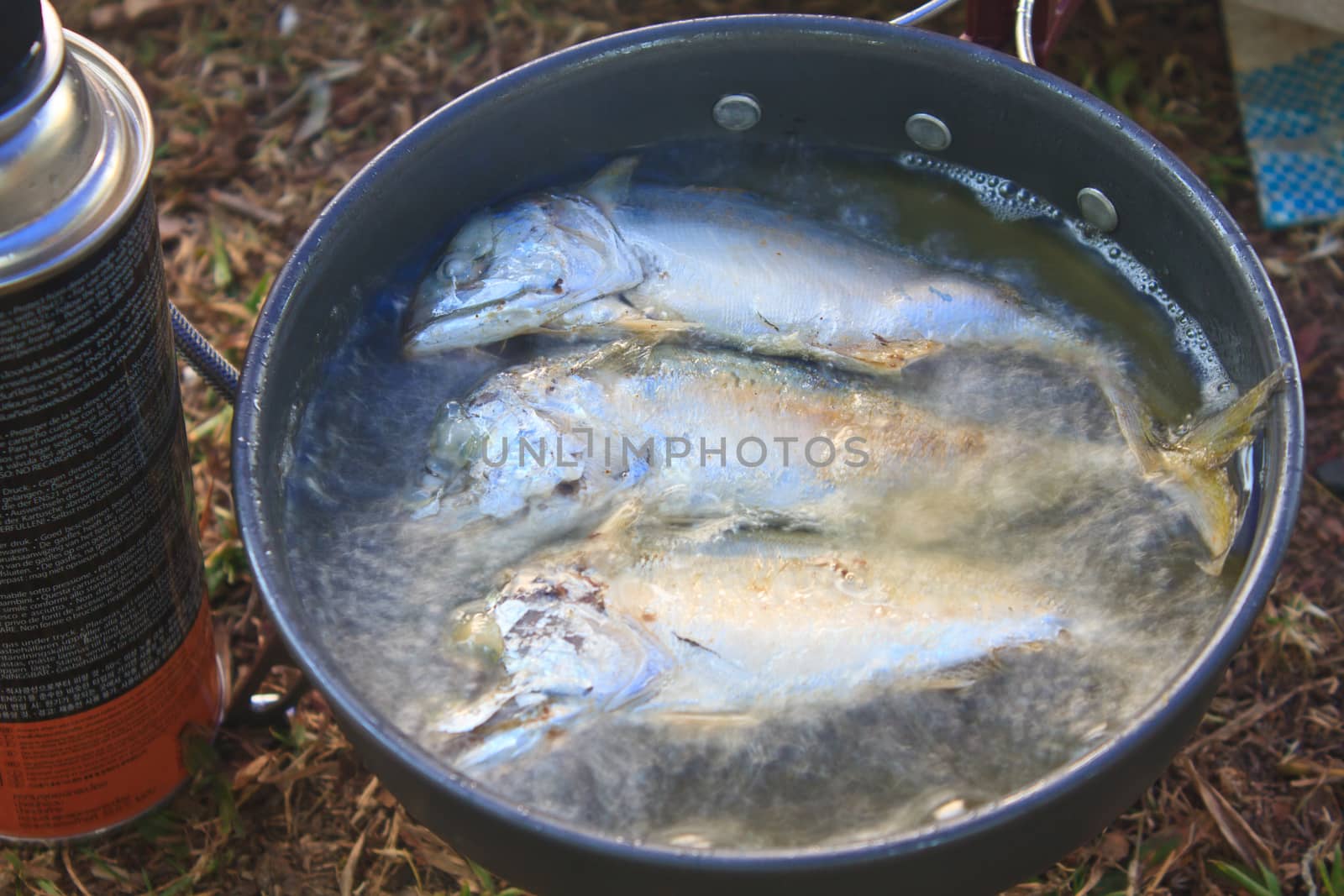 Fresh mackerel fried in a pan on ground in forest