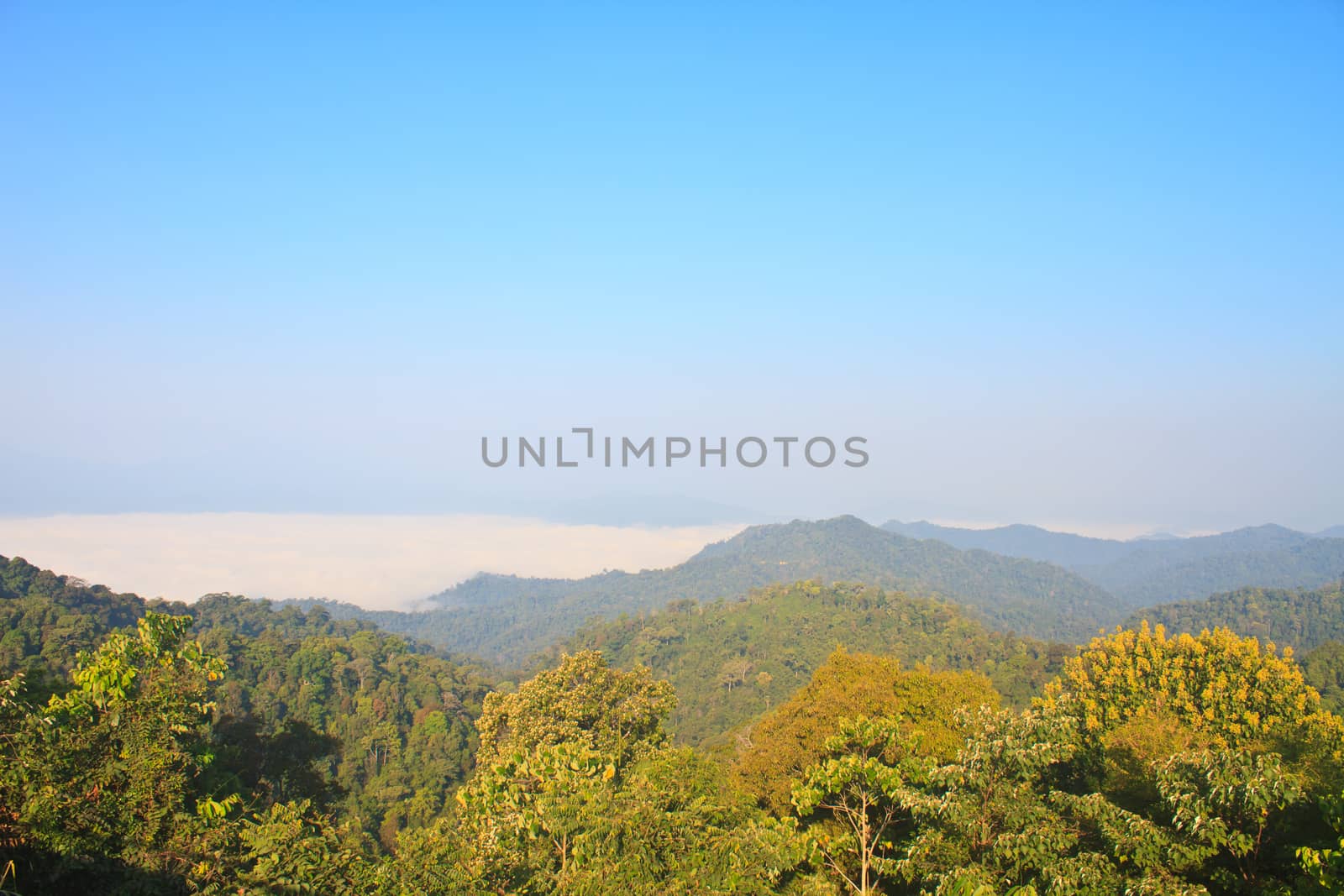 sea of fog with forests as foreground. This place is in the Kaeng Krachan national park, Thailand