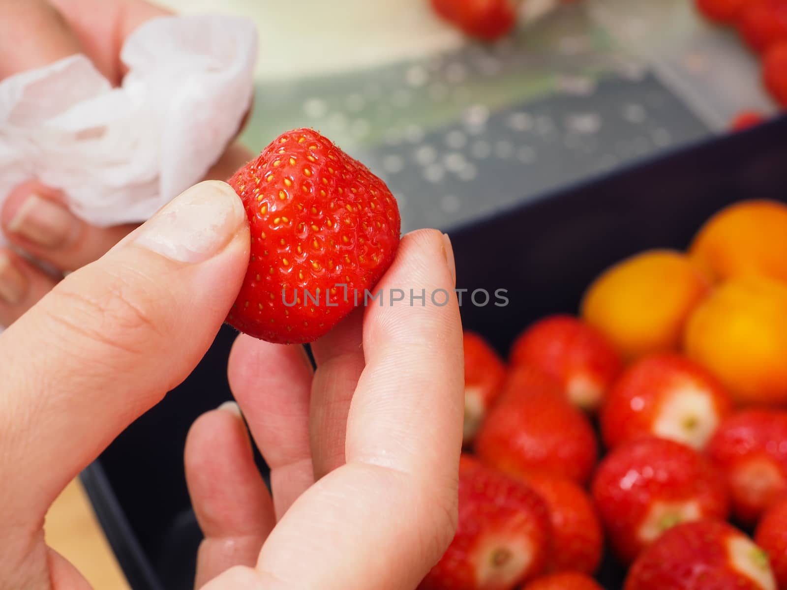 Female person holding a whole strawberry after washing and drying