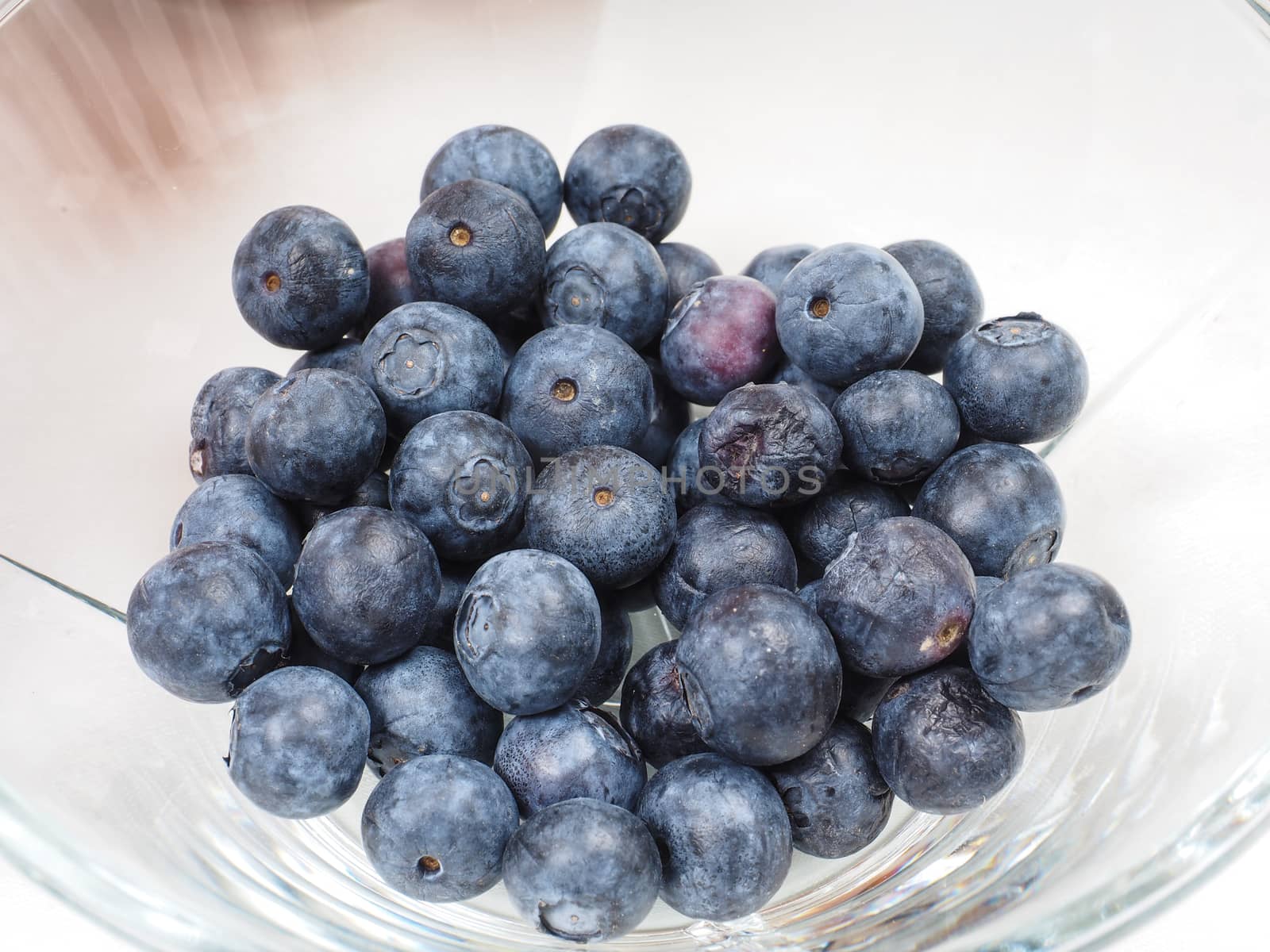Blueberry bowl by Arvebettum
