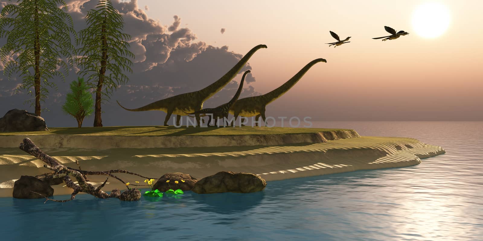 Mamenchisaurus dinosaurs walk to a lake for a morning drink as Microraptors fly overhead.