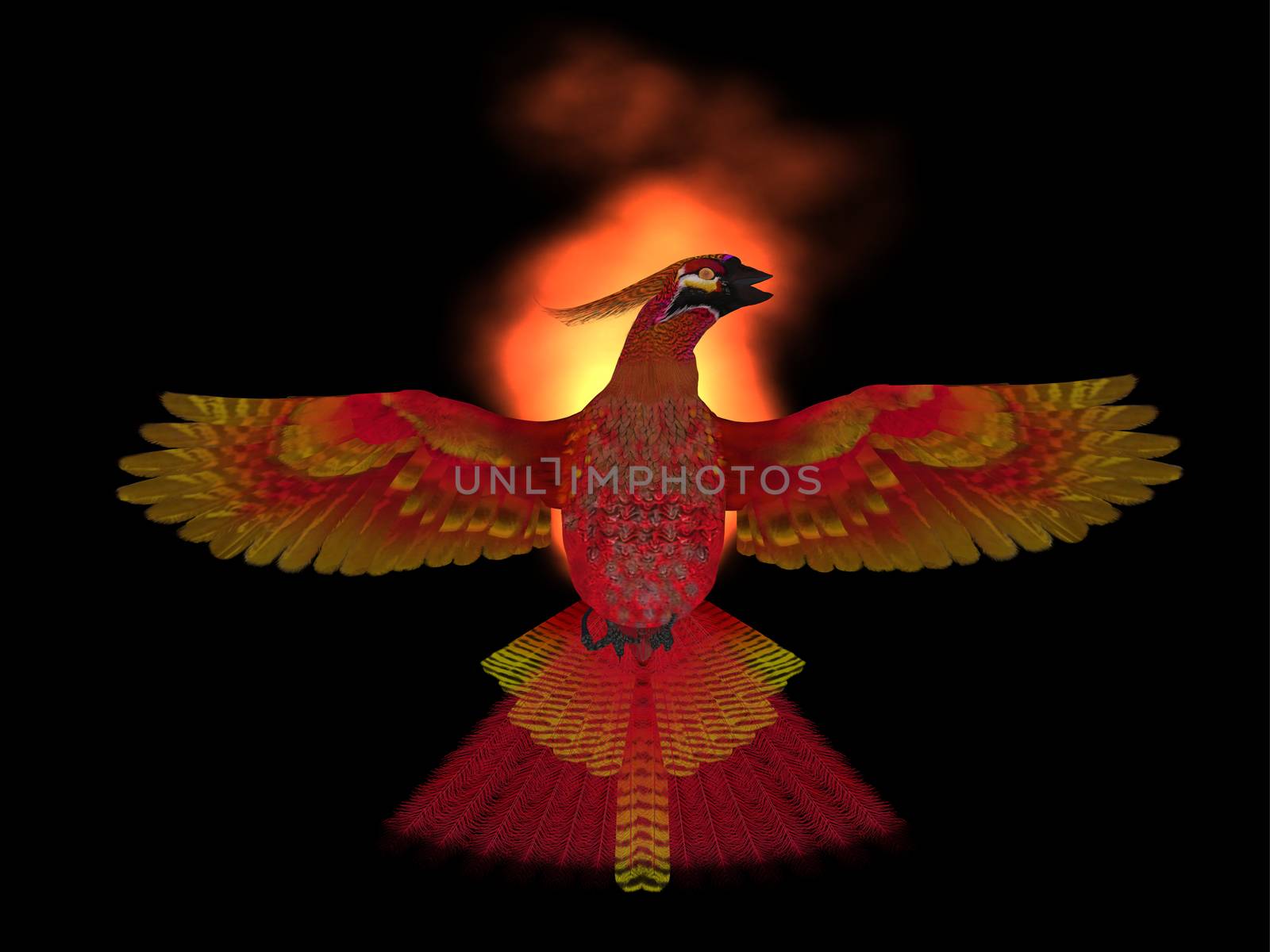 The Phoenix Bird is a symbol of new beginnings and rising from ashes of its previous demise.