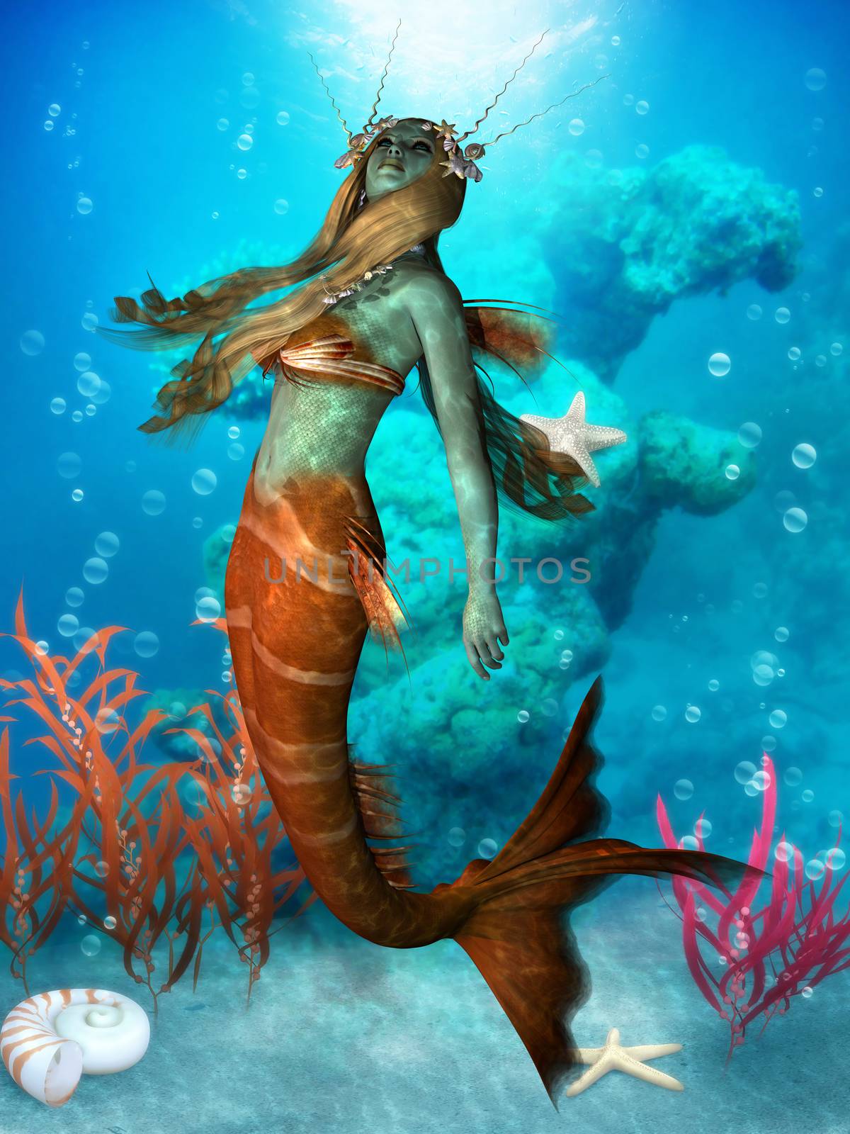 The Mermaid is a legendary aquatic creature with the upper body of a woman and the tail of a fish.