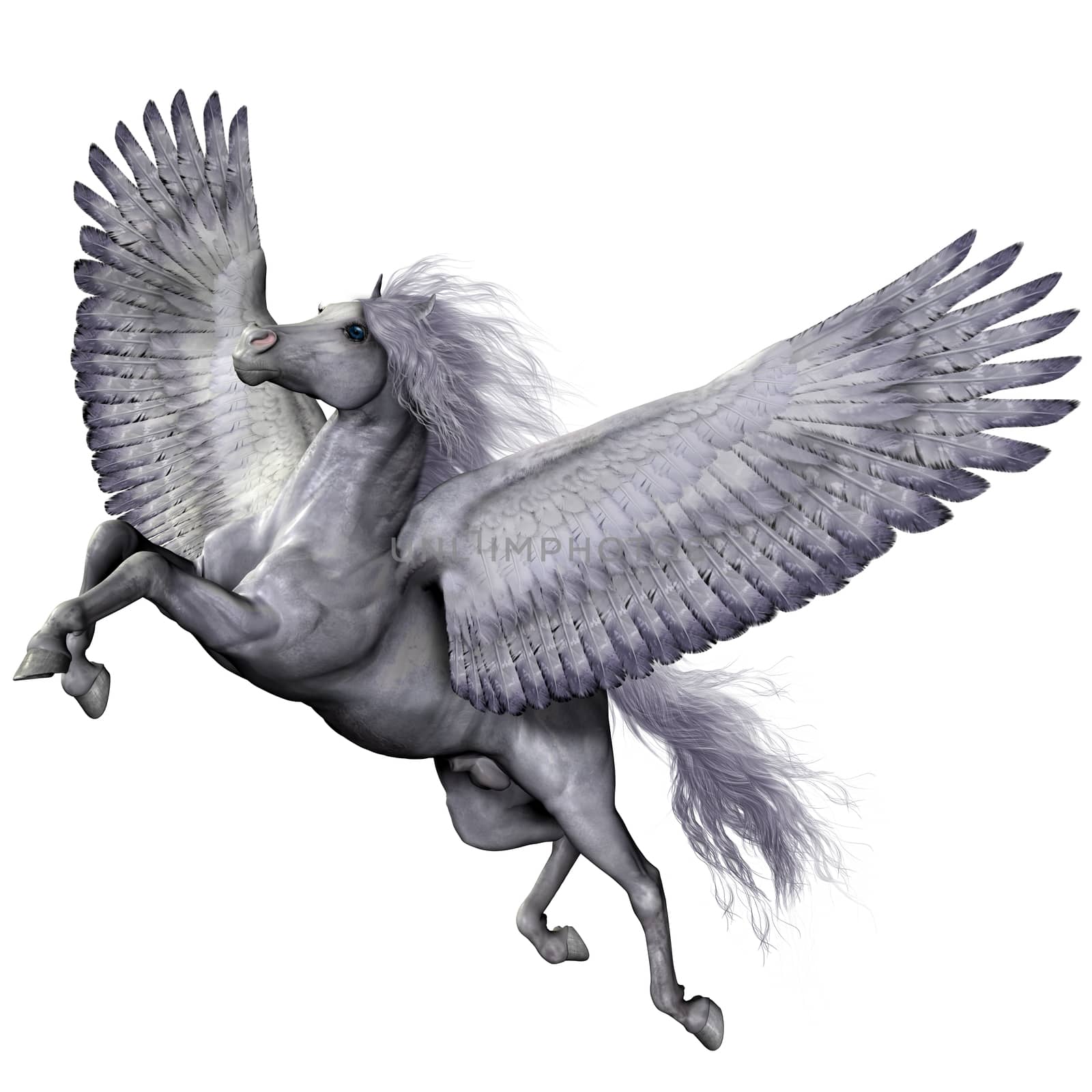 Pegasus is a winged divine stallion who was sired by the god Poseidon of folklore and legend.