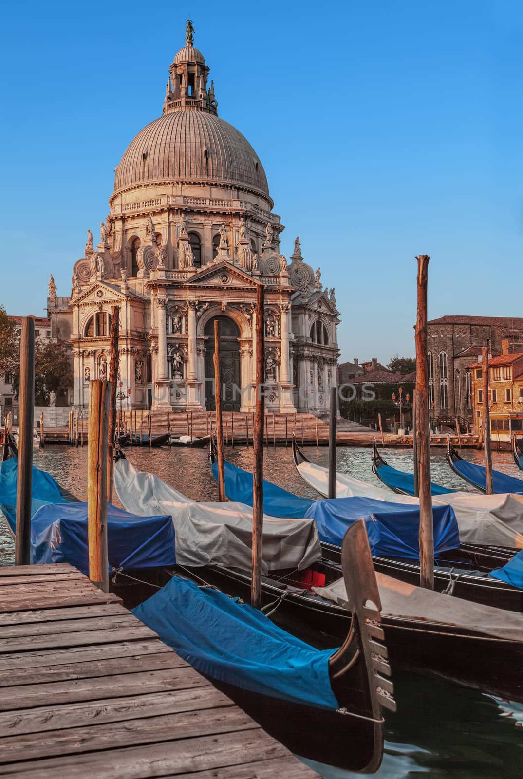 Basilica Santa Maria Della Salute from the Grand Canal in Venice, Italy
