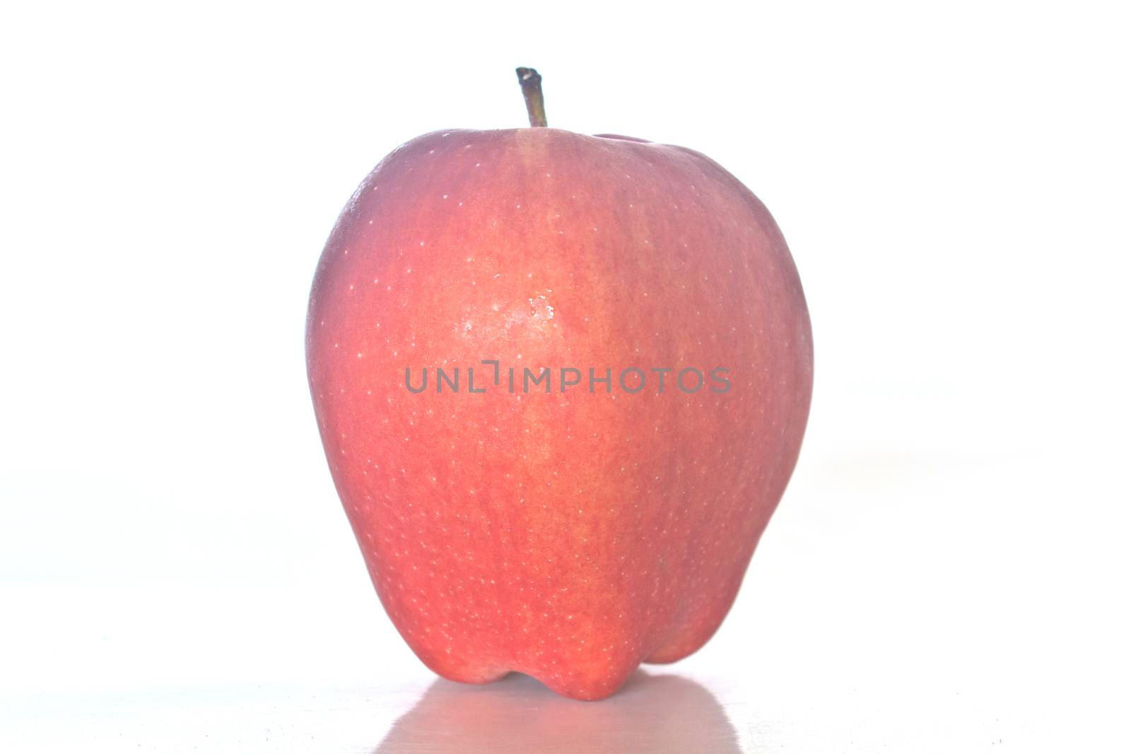 Fresh red apple on white background