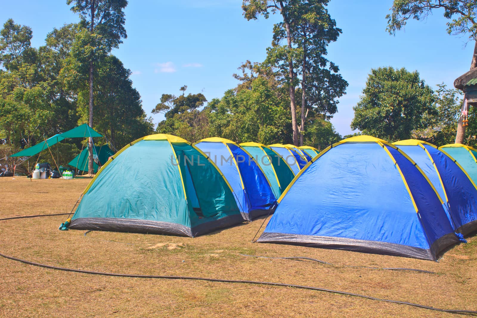 Colorful tent on the camping ground by forest71