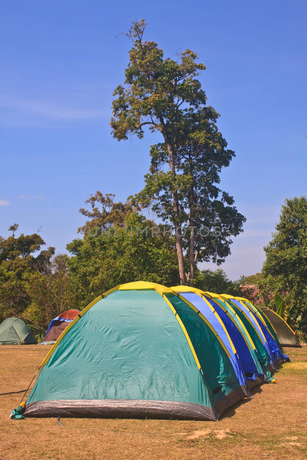 Colorful tent on the camping ground of national park