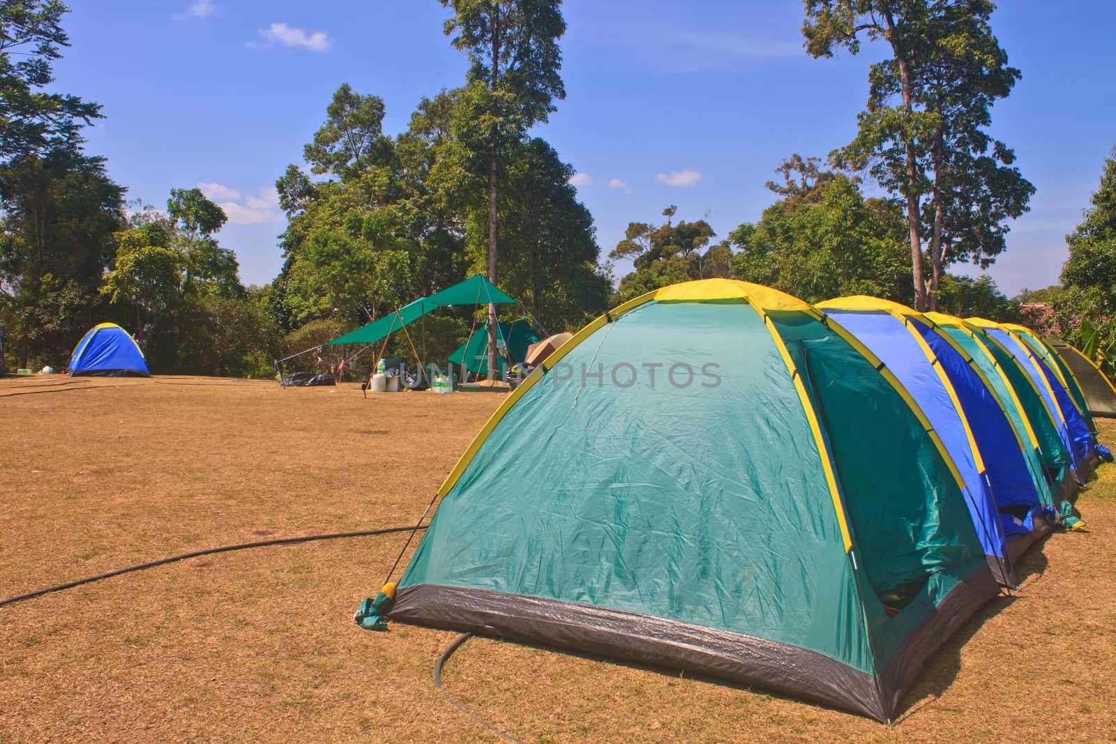 Colorful tent on the camping ground by forest71