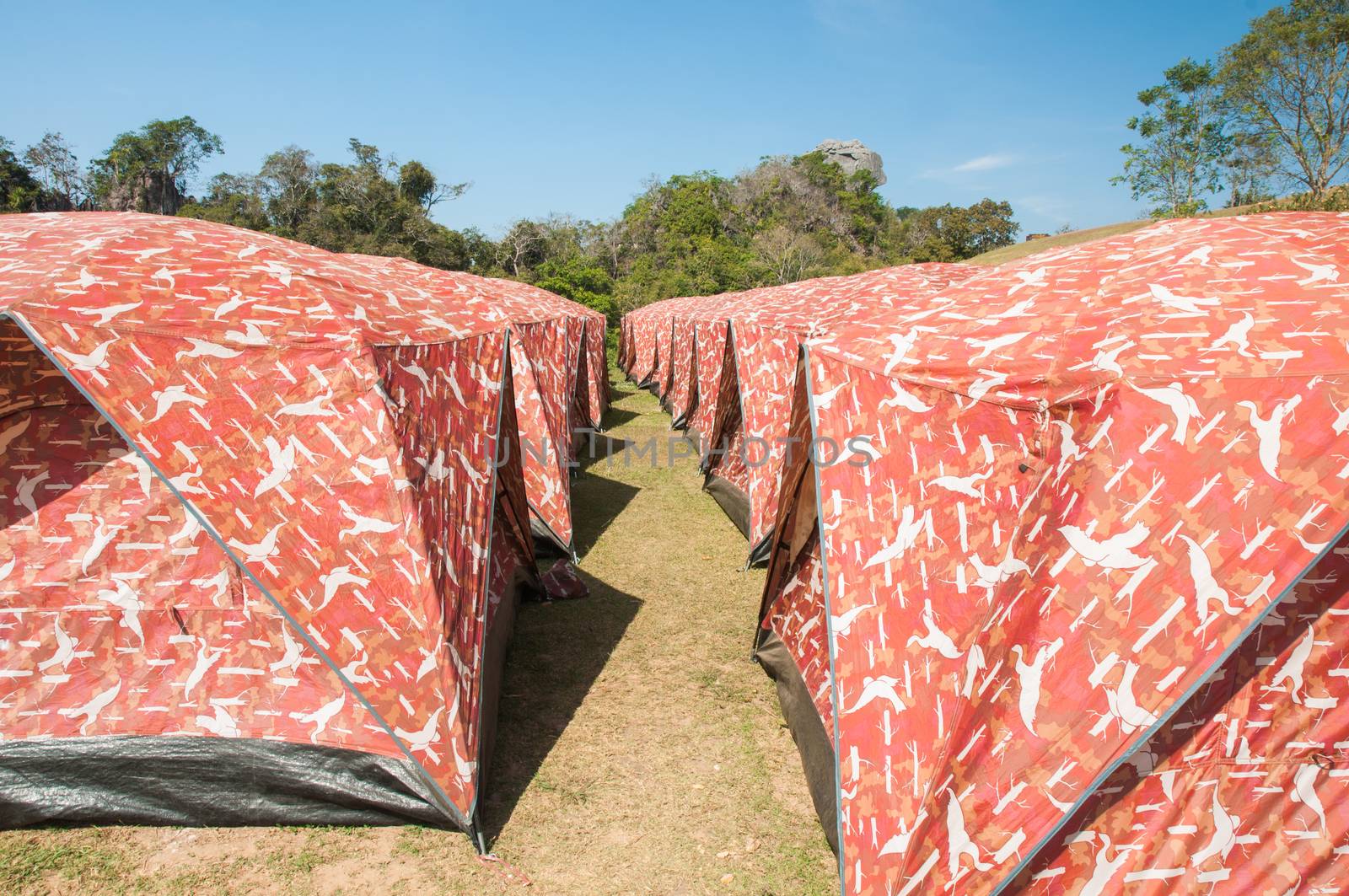 Tent camping at Phu samerdown park of thailand