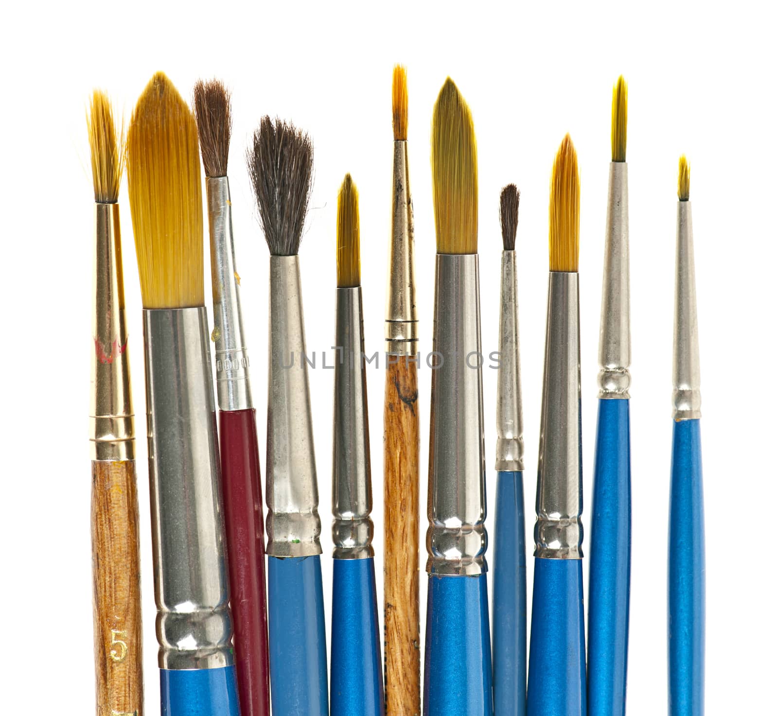 Various sizes of paintbrushes on white background