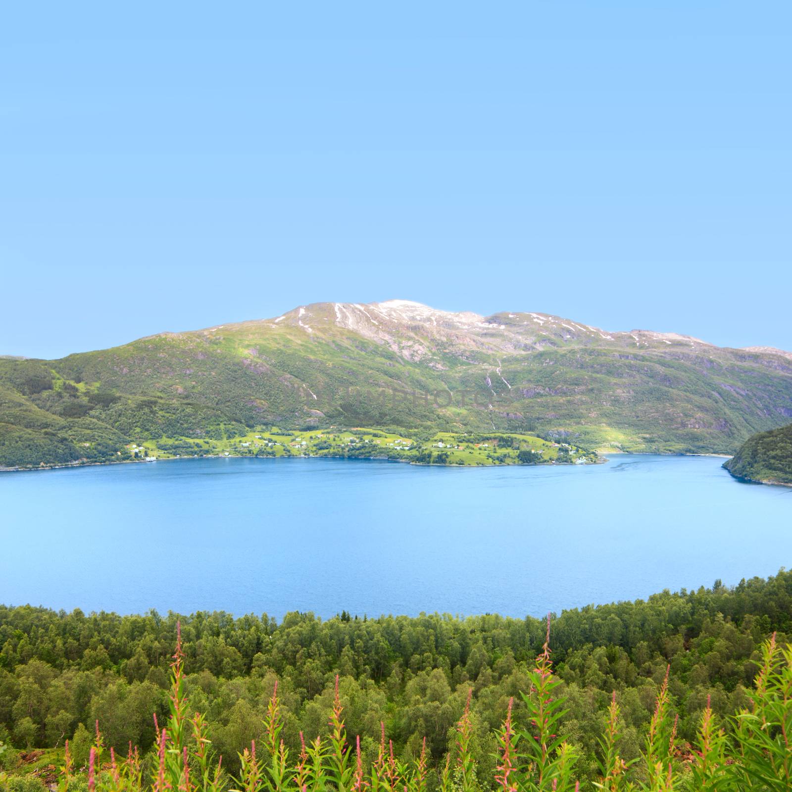 Northern  Norway landscape with fjord, mountains and forest