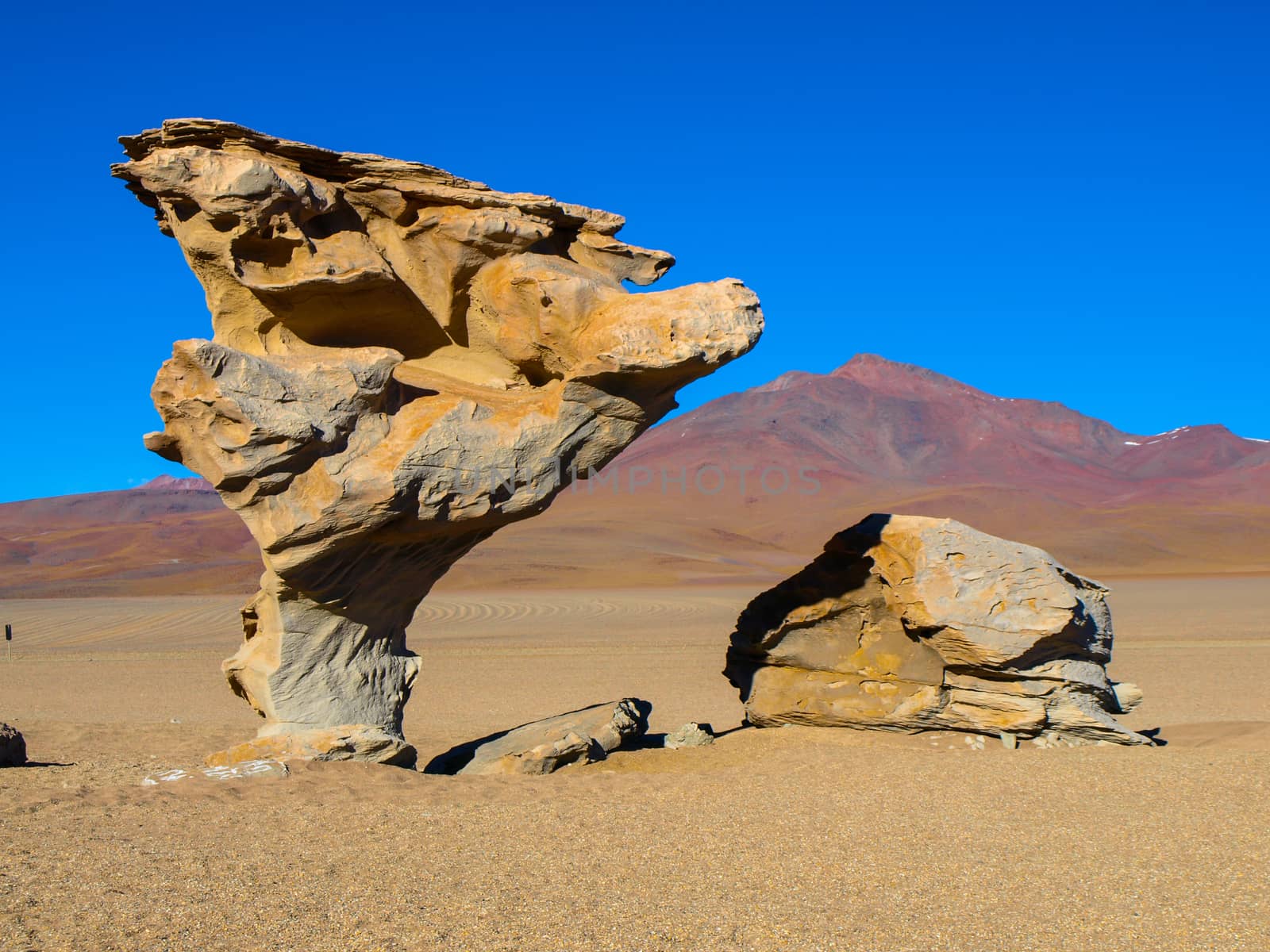 Famous stone tree on Altiplano in southern Bolivia