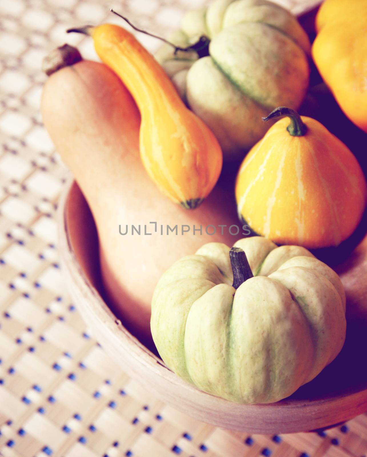 Various of pumpkins on bowl with retro filter effect