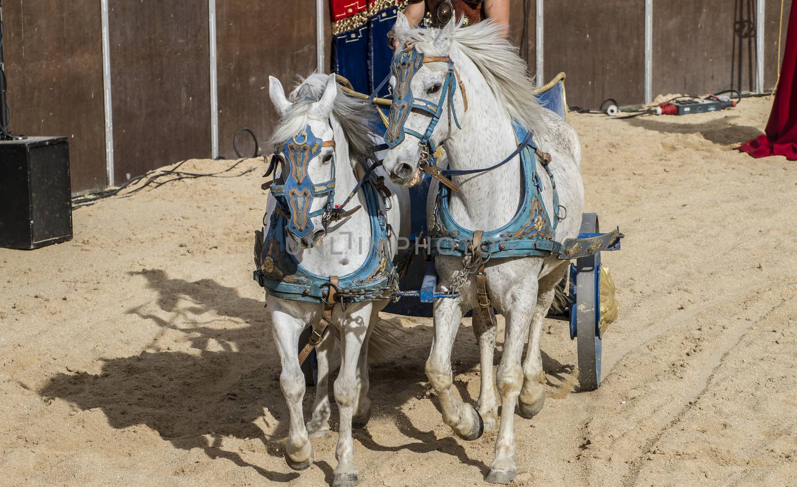 Roman chariot in a fight of gladiators, bloody circus by FernandoCortes