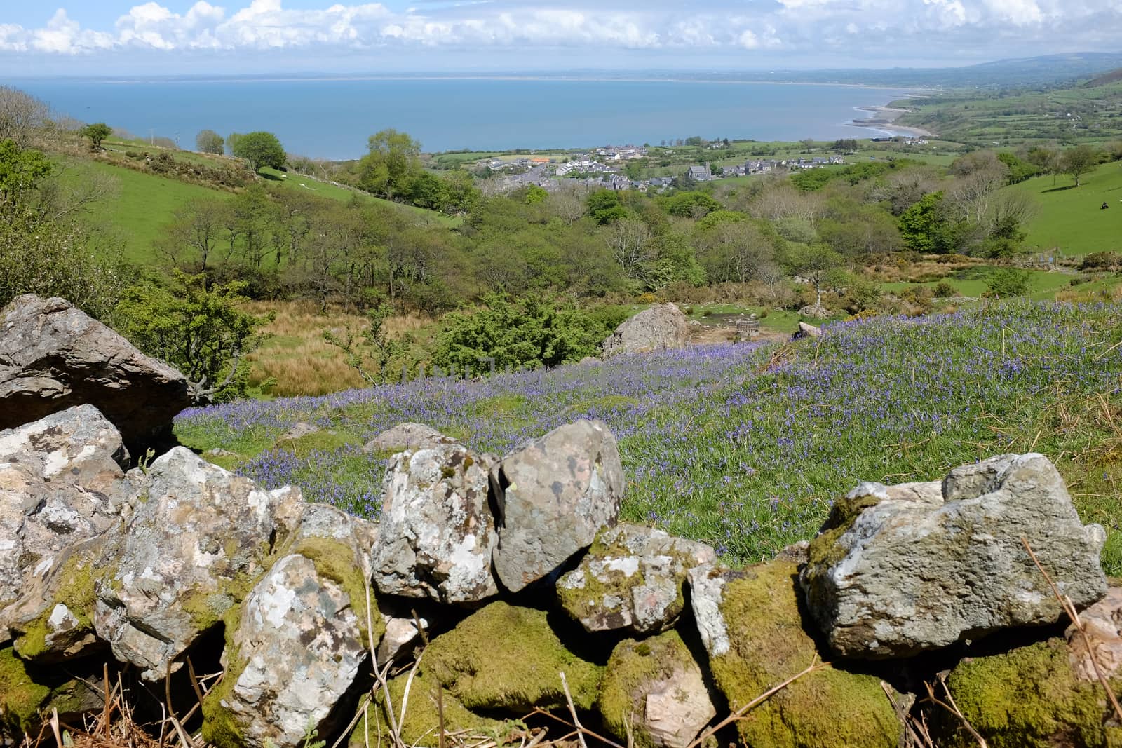 A stone wall and bluebells lead to the Welsh village of Trefor nestled before the Bay of Caernarfon, Lleyn peninsular, Wales, UK.