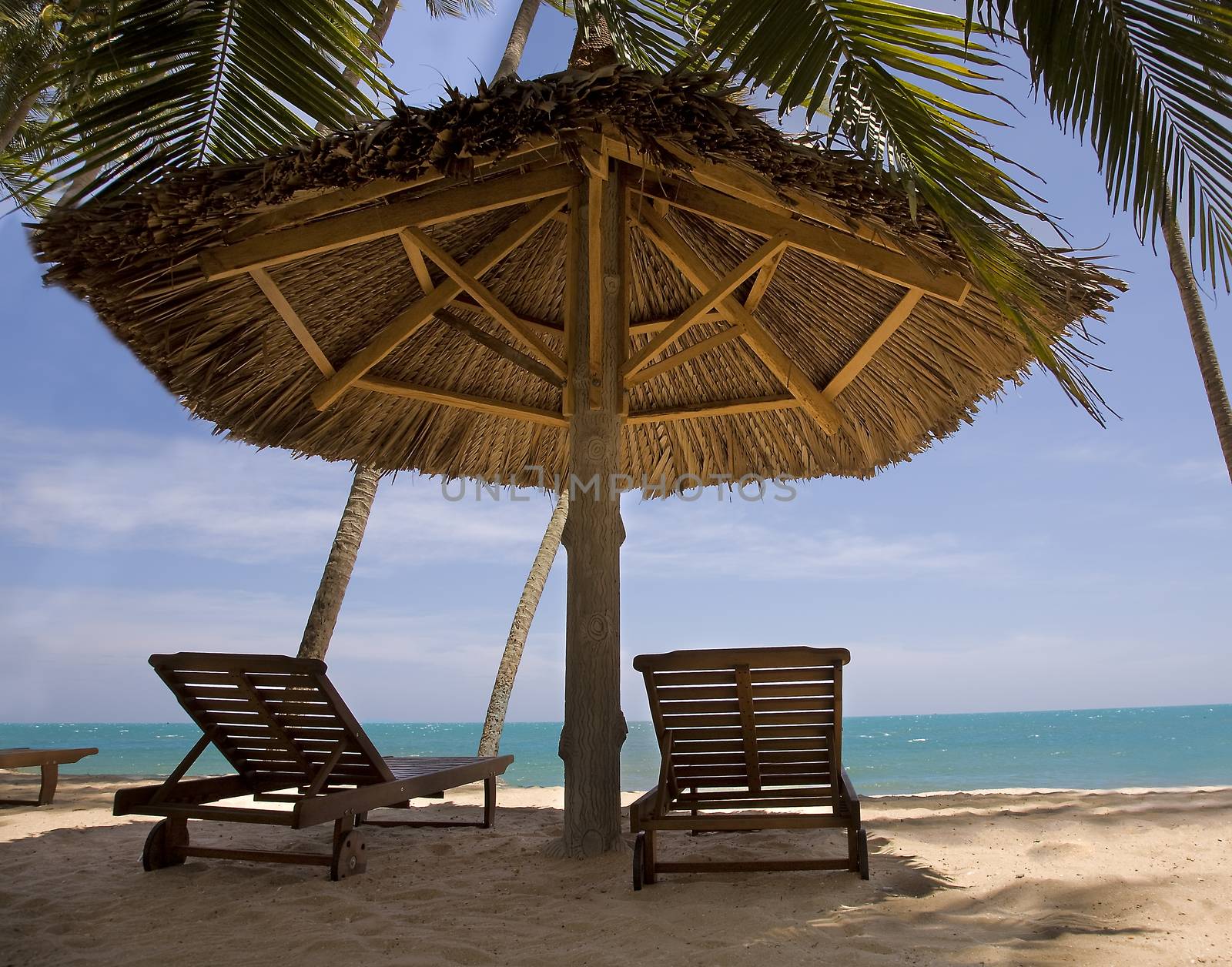 sun loungeres and  Umbrellas against  blue sea at sun day Mui Ne by foryouinf