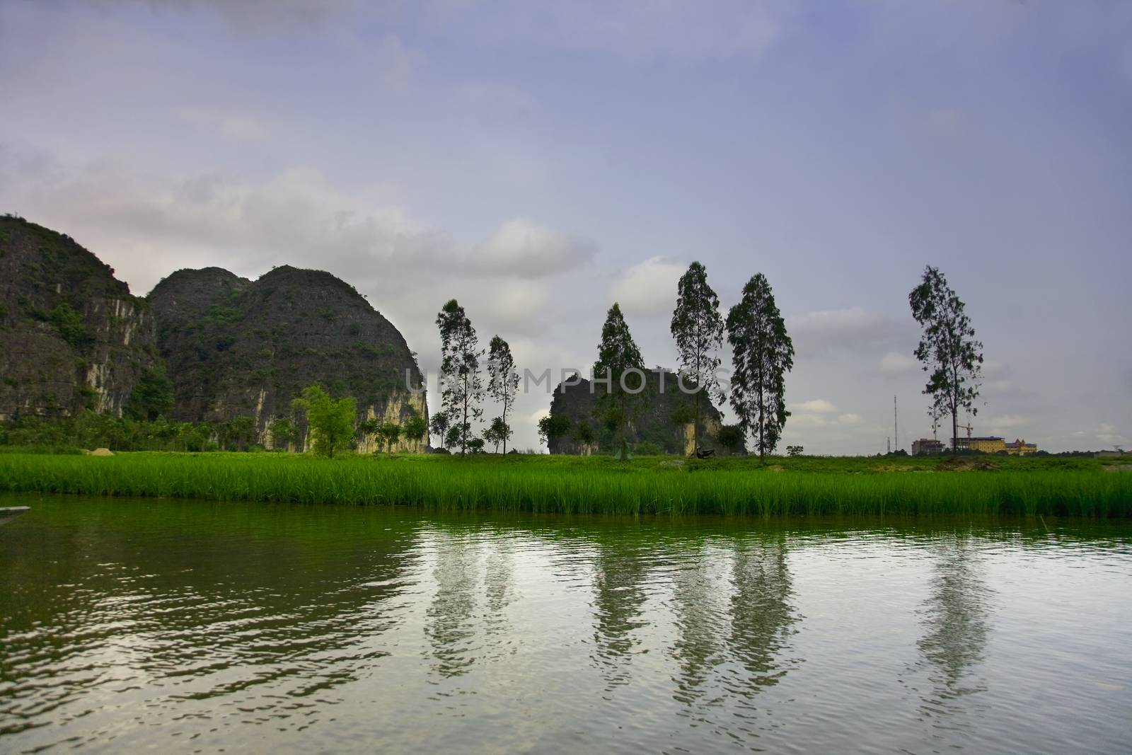 Travelling along rice fields on Tam Coc stream, Ninnh Binh, Vietnam.