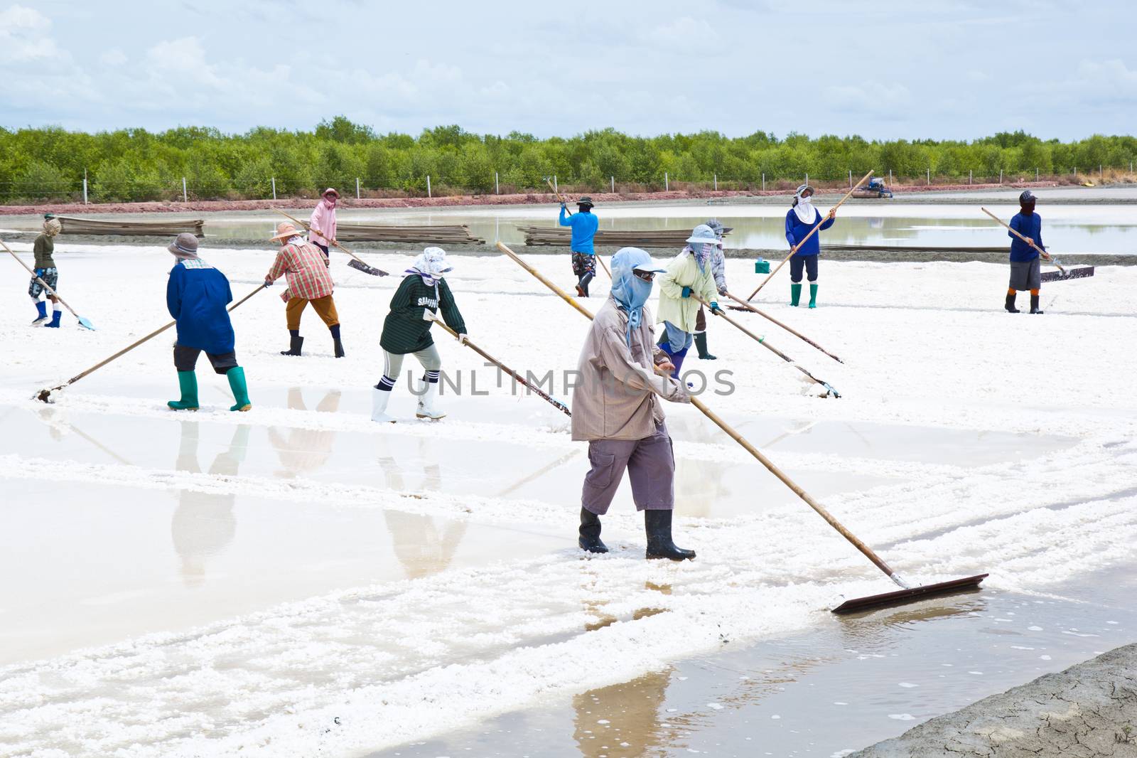 salt collecting in salt farm in Thailand by tisskananat