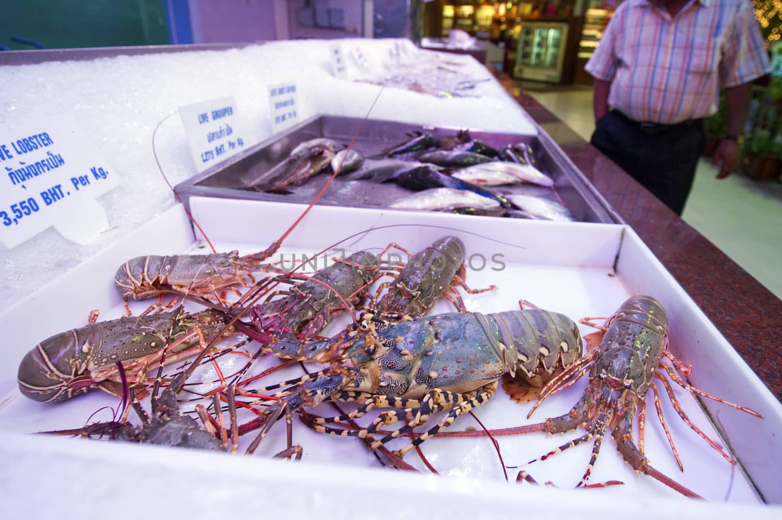 thai lobster, seafood, market, thailand