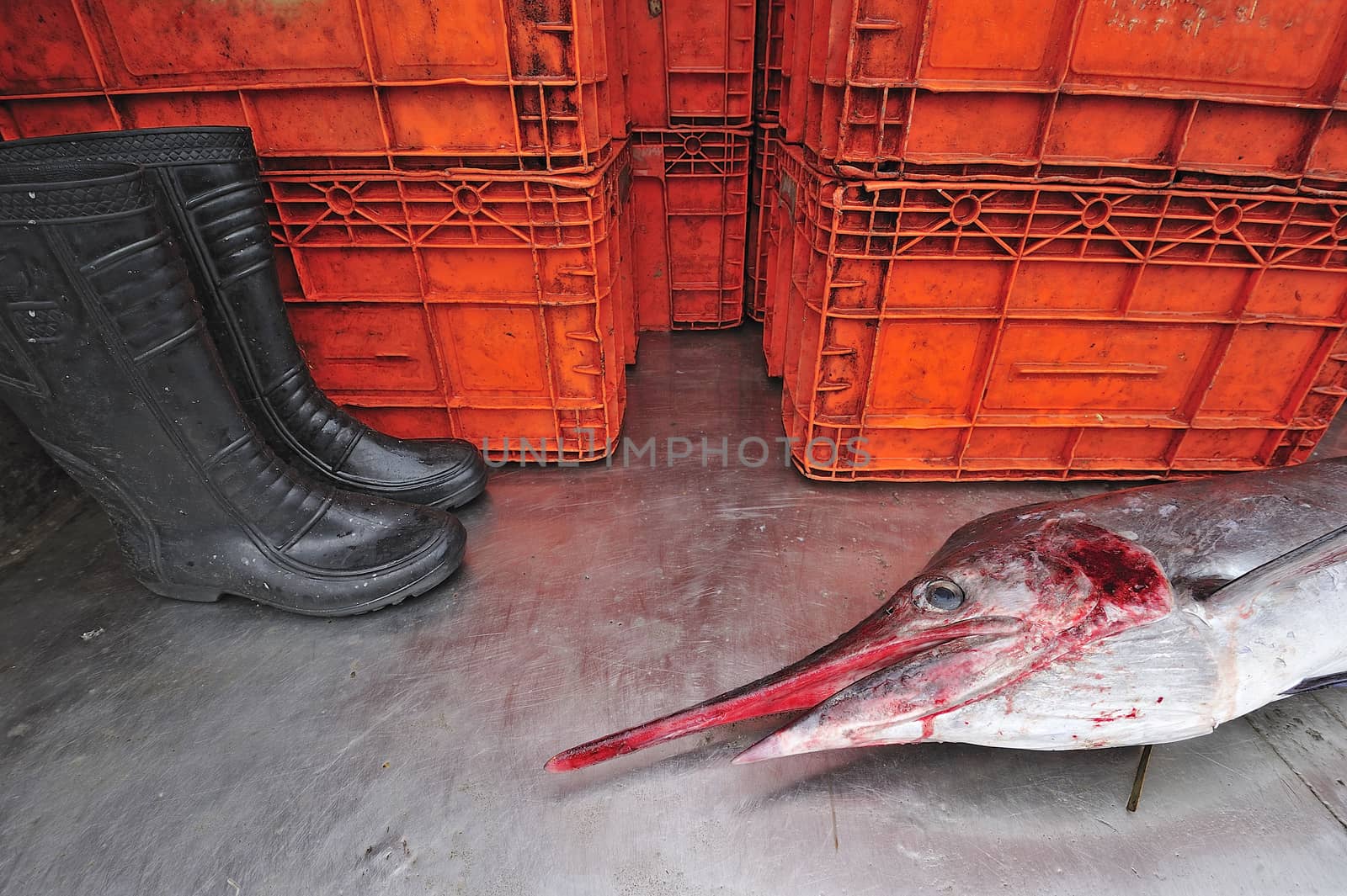 Sailfish in fish market, Thailand. by think4photop